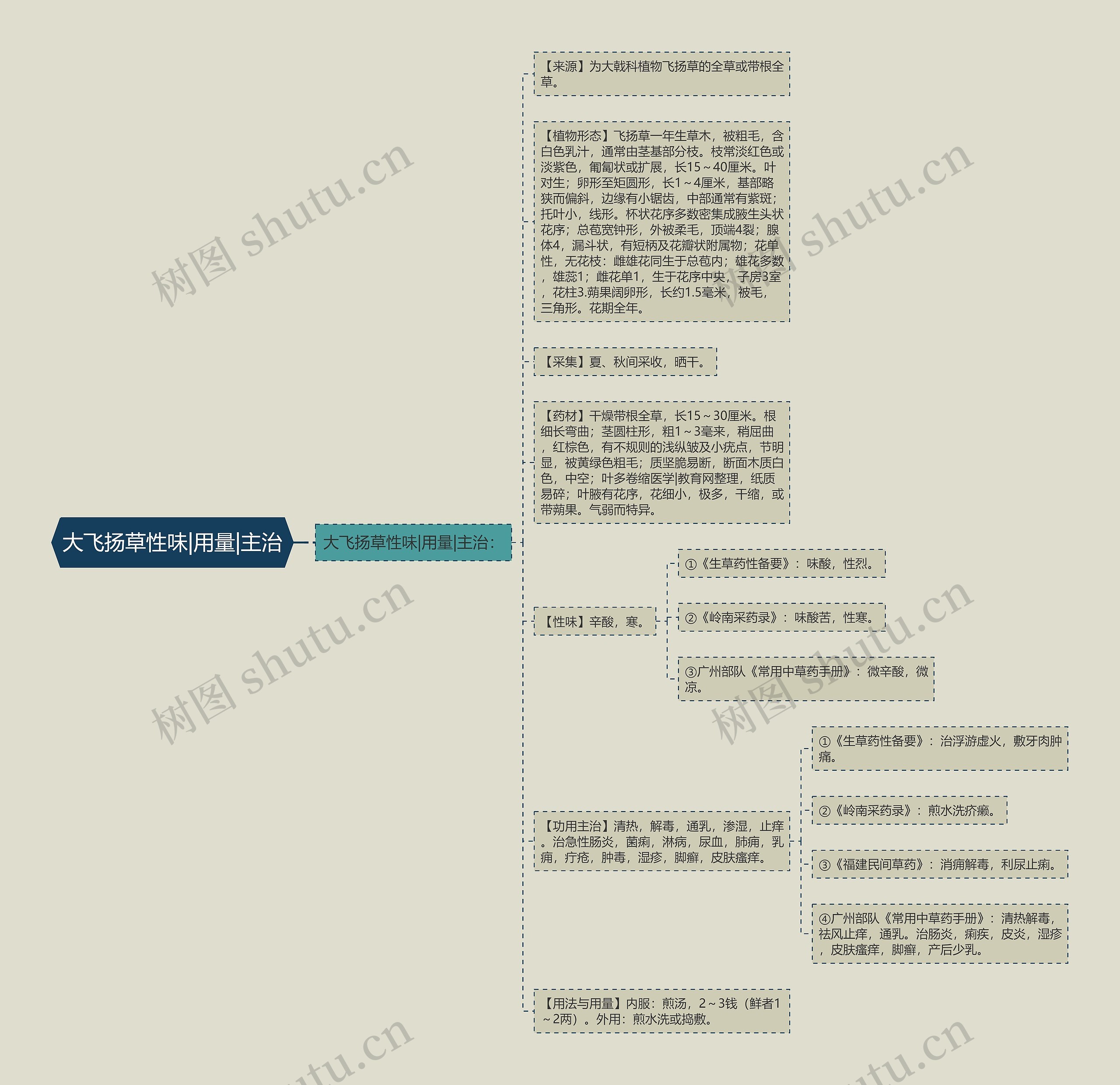 大飞扬草性味|用量|主治思维导图