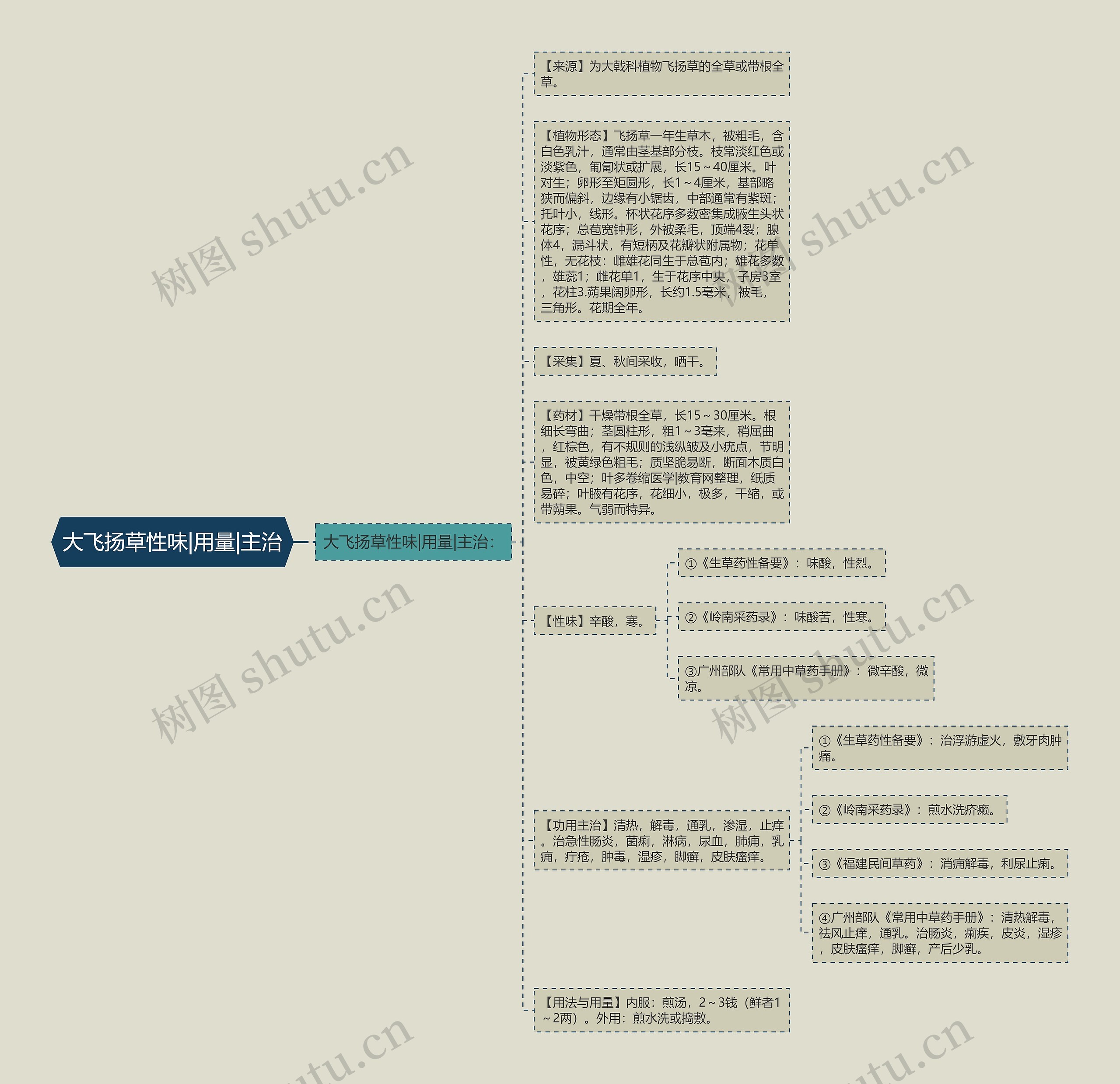 大飞扬草性味|用量|主治 大飞扬草性味|用量|主治