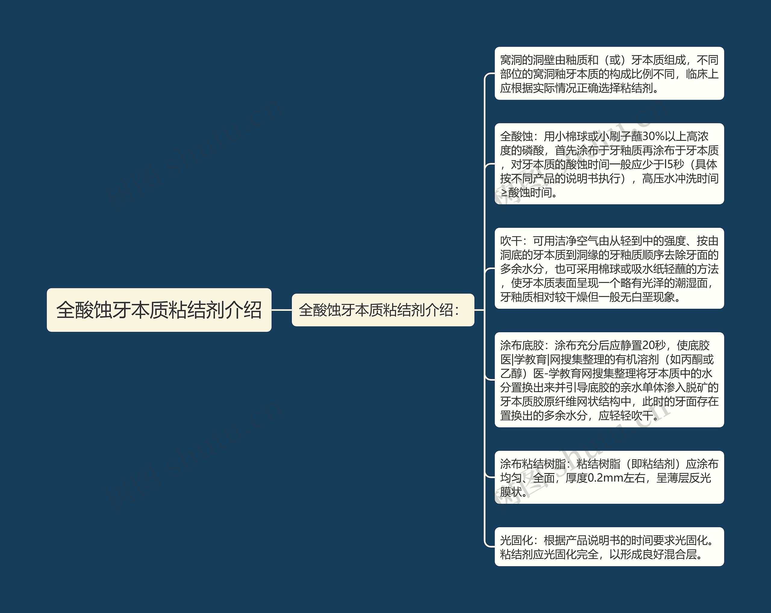 全酸蚀牙本质粘结剂介绍思维导图