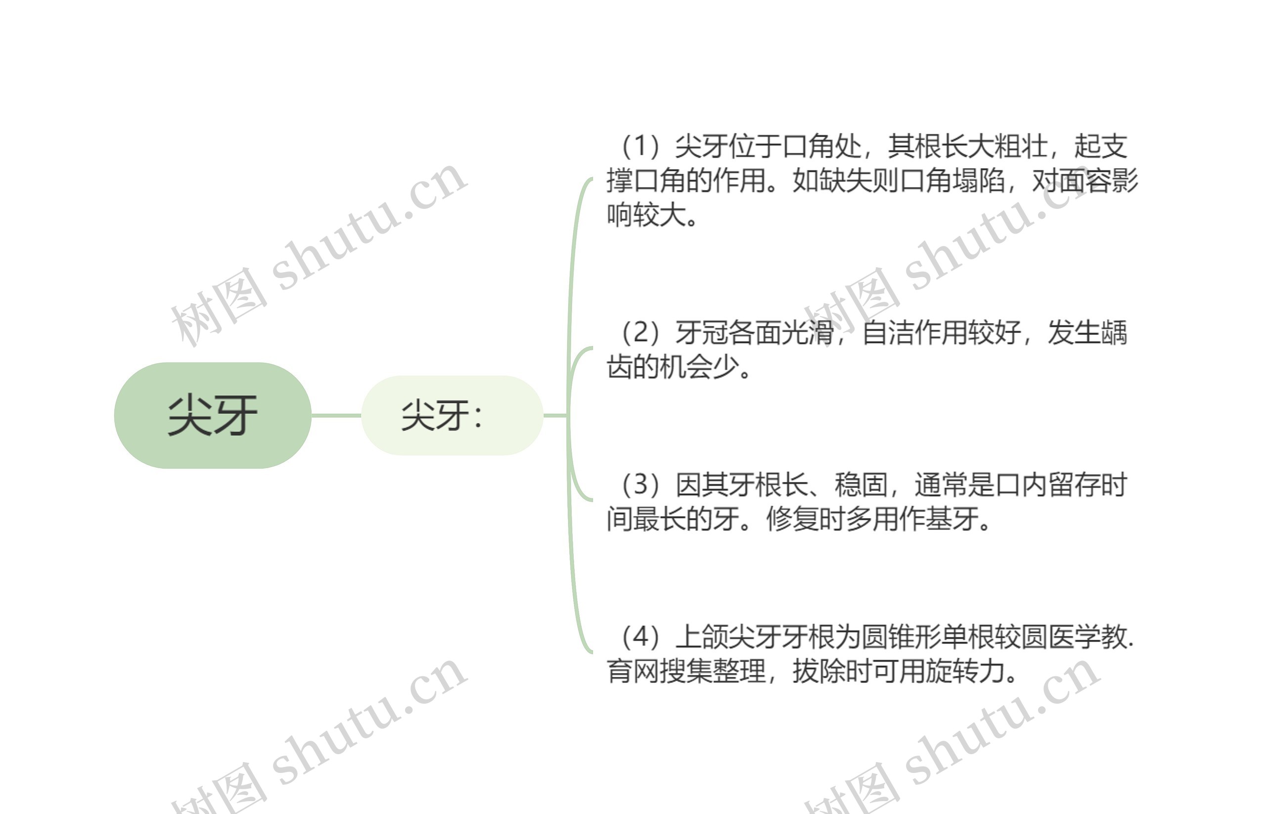 尖牙思维导图