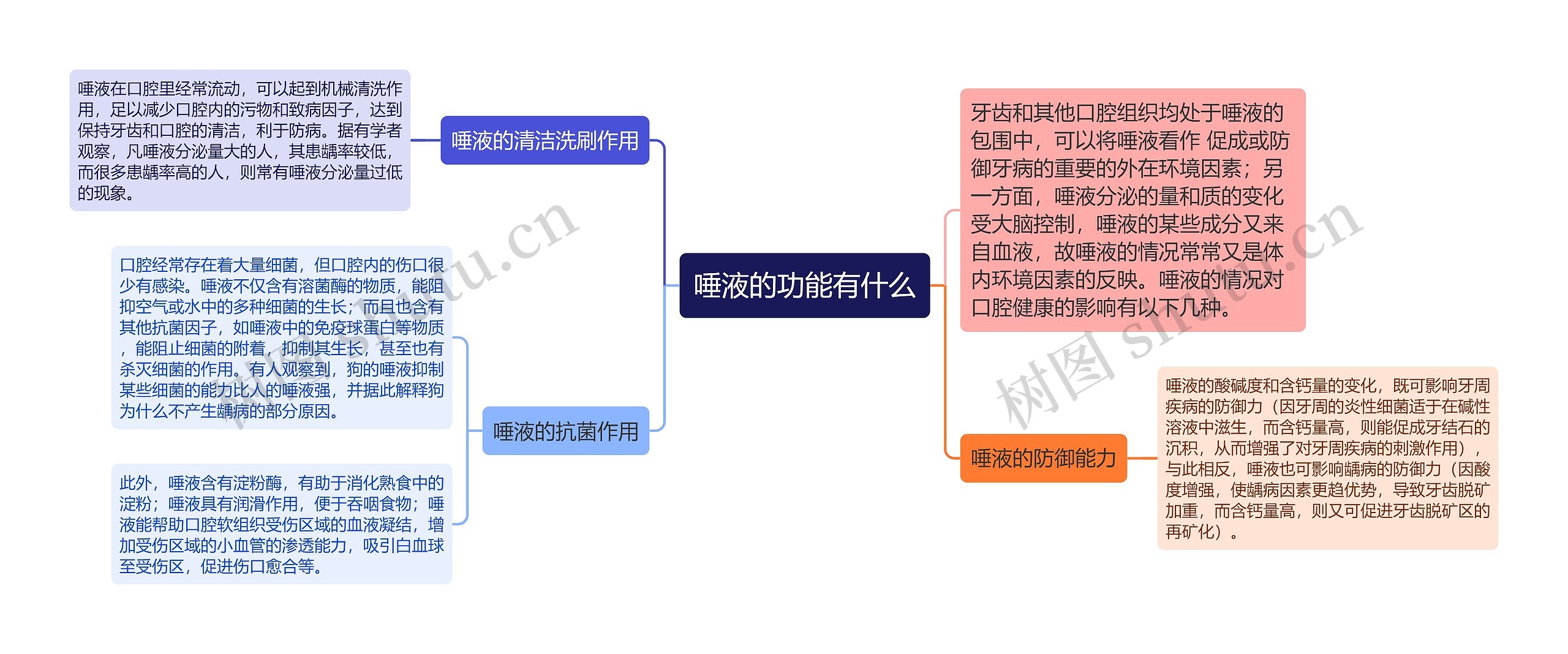 唾液的功能有什么