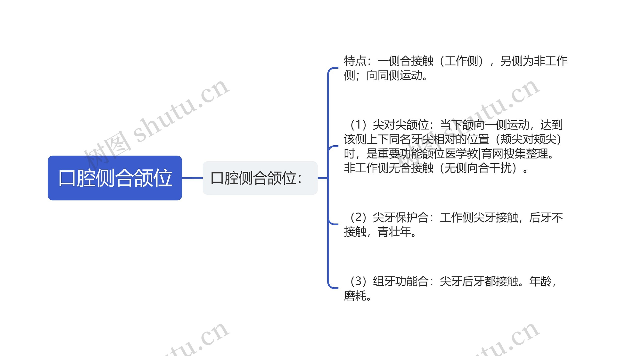 口腔侧合颌位