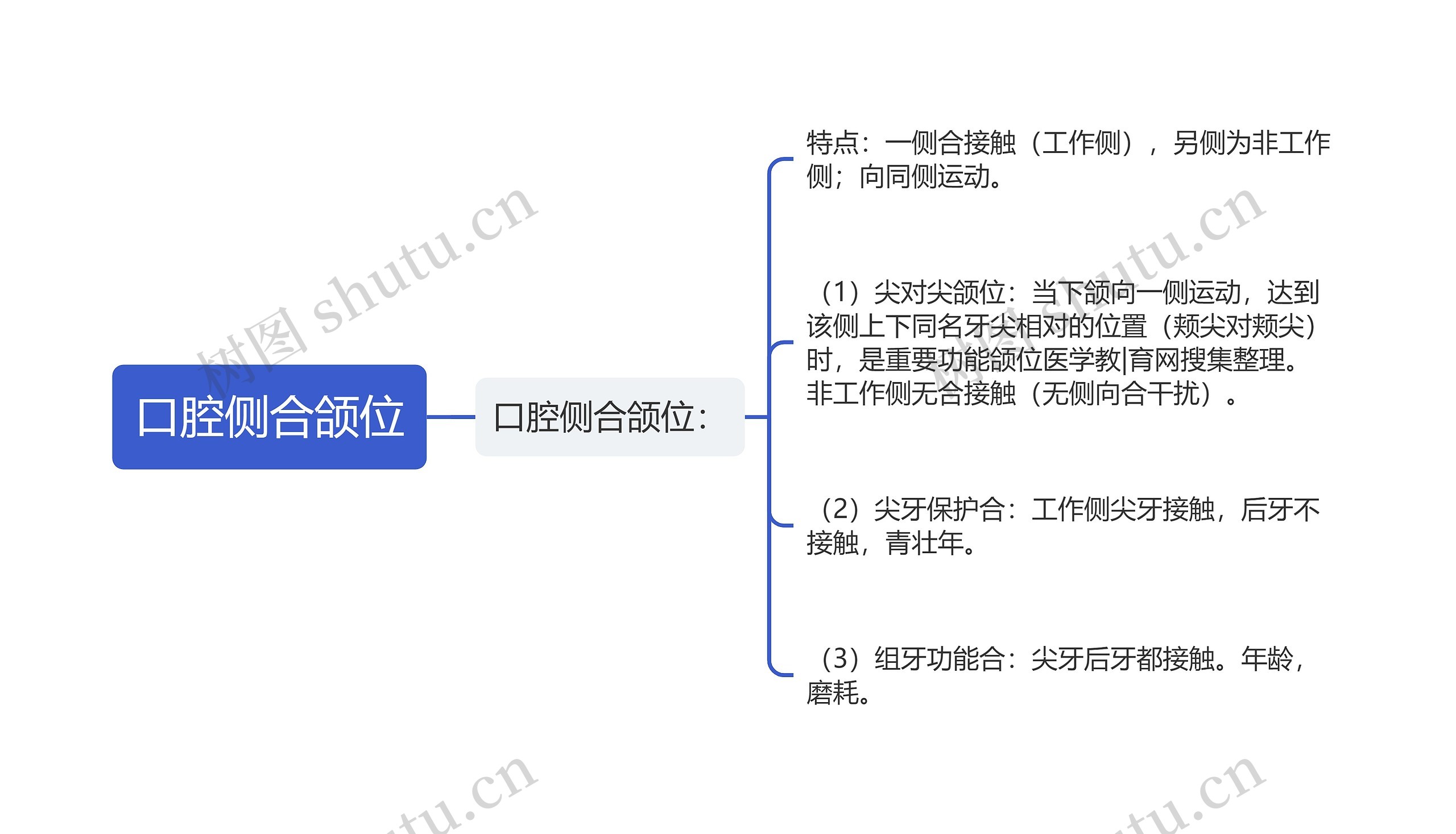 口腔侧合颌位思维导图