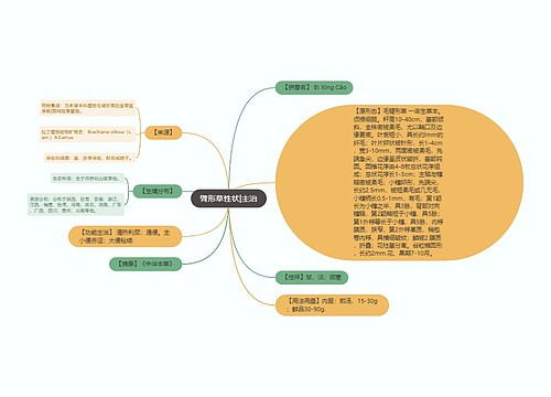 臂形草性状|主治