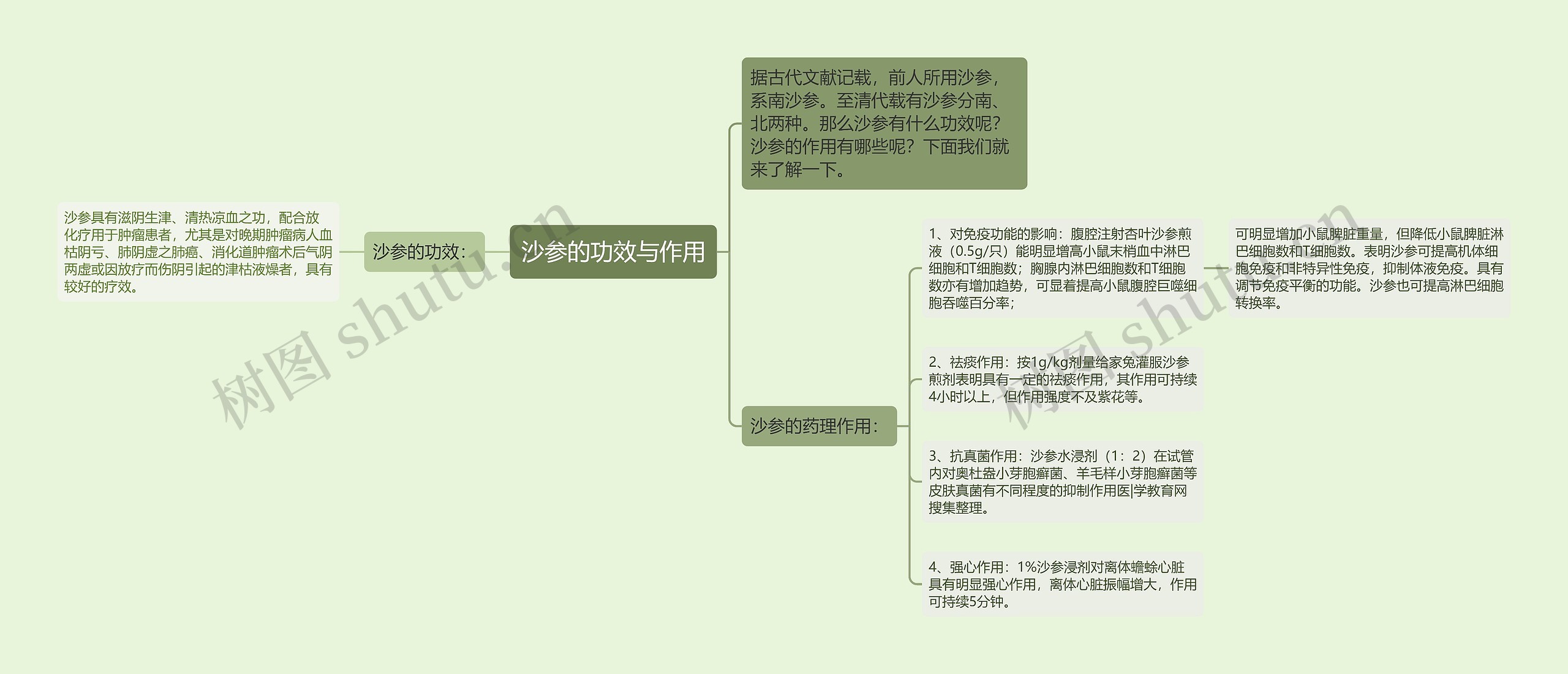 沙参的功效与作用思维导图