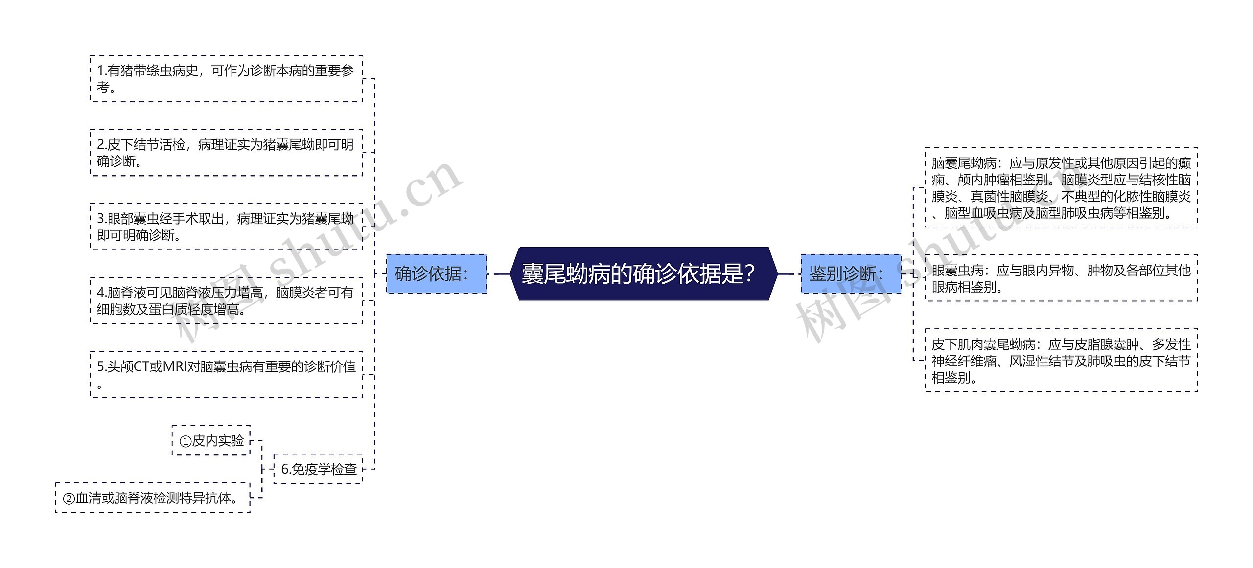 囊尾蚴病的确诊依据是？思维导图