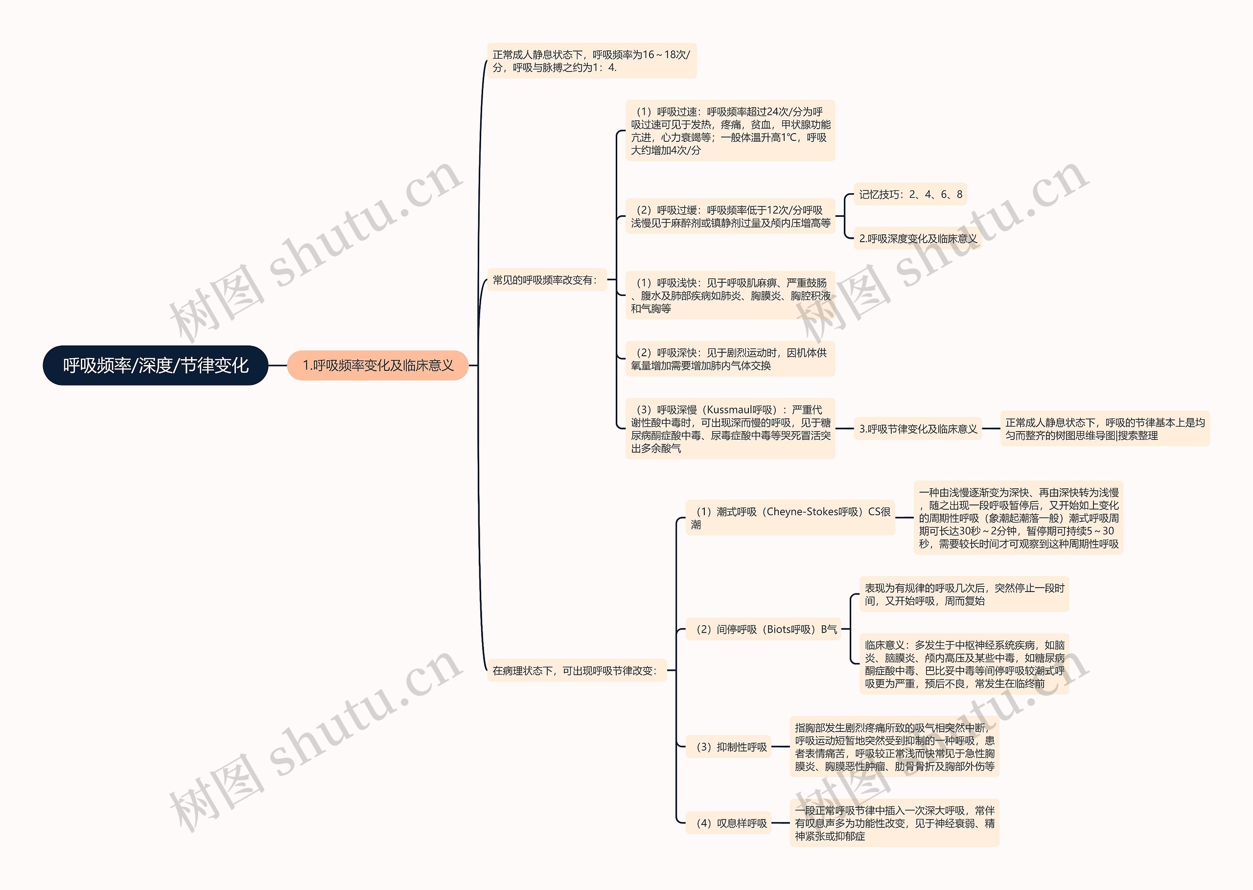 呼吸频率/深度/节律变化思维导图