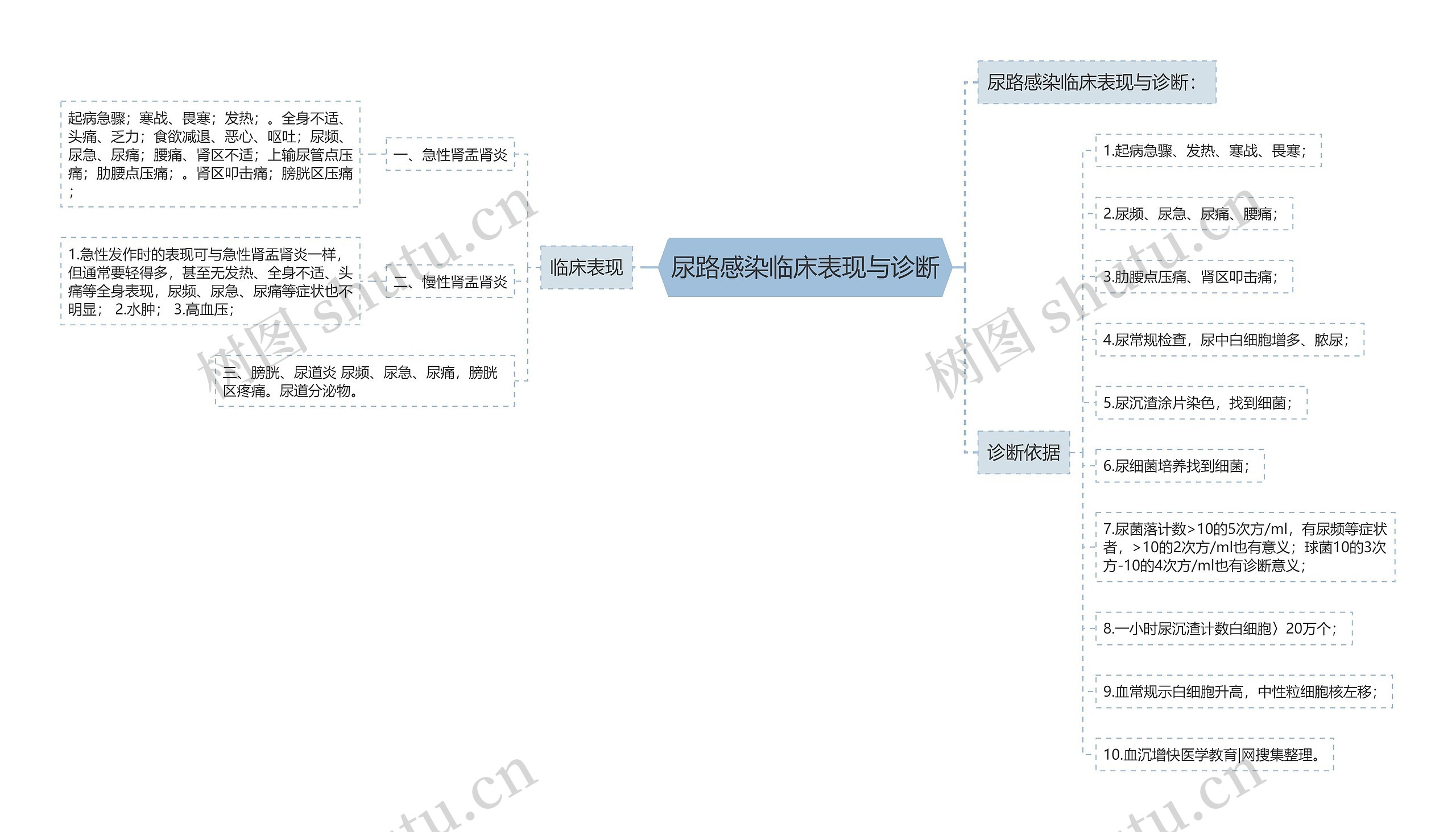 尿路感染临床表现与诊断