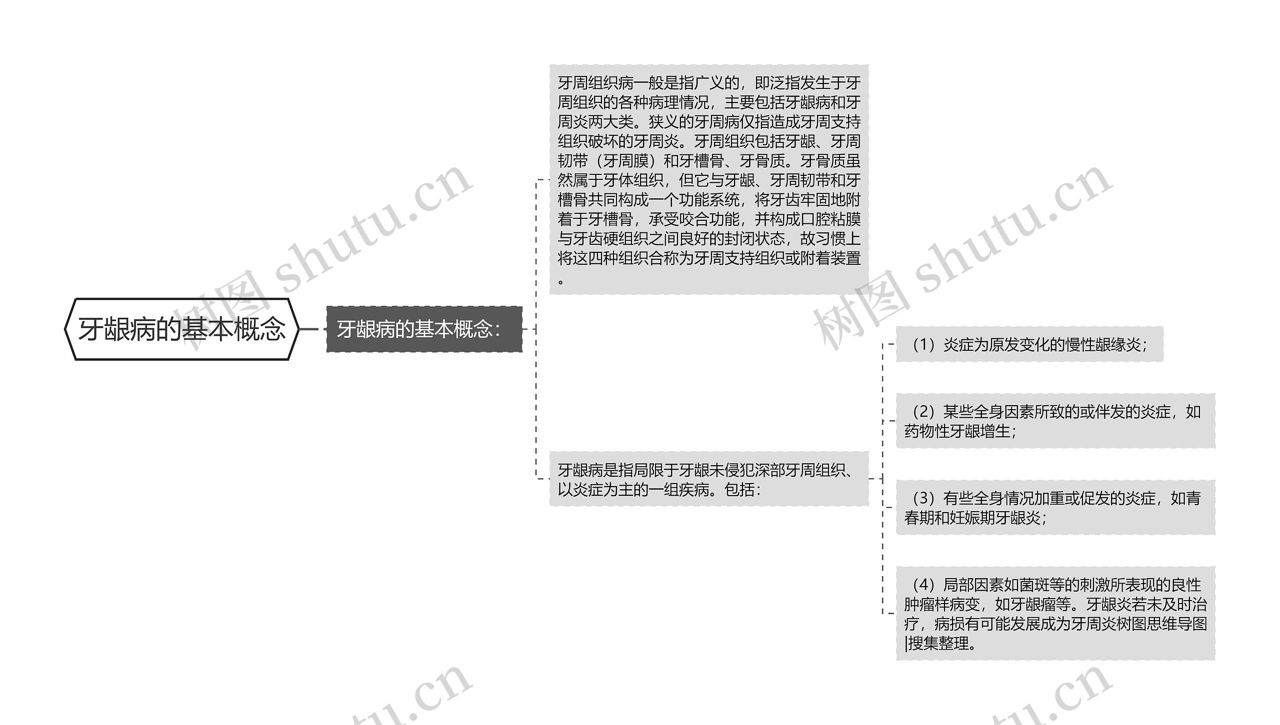 牙龈病的基本概念