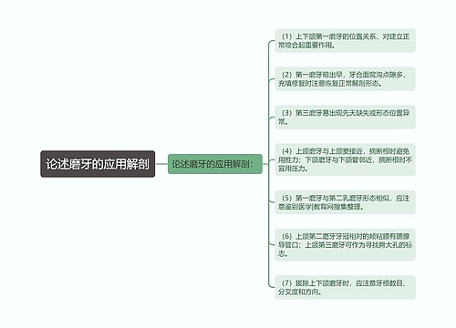 论述磨牙的应用解剖