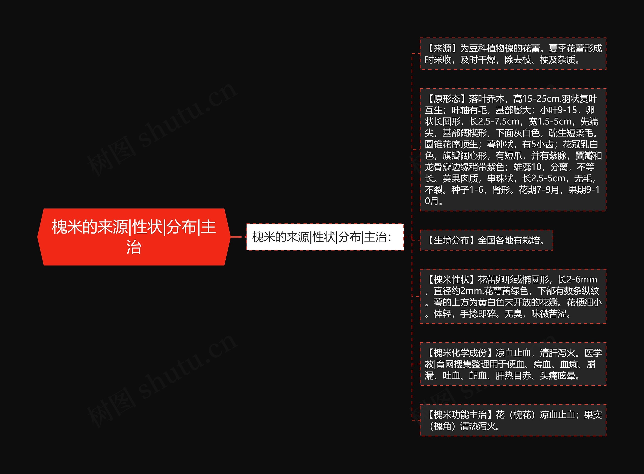 槐米的来源|性状|分布|主治 槐米的来源|性状|分布|主治