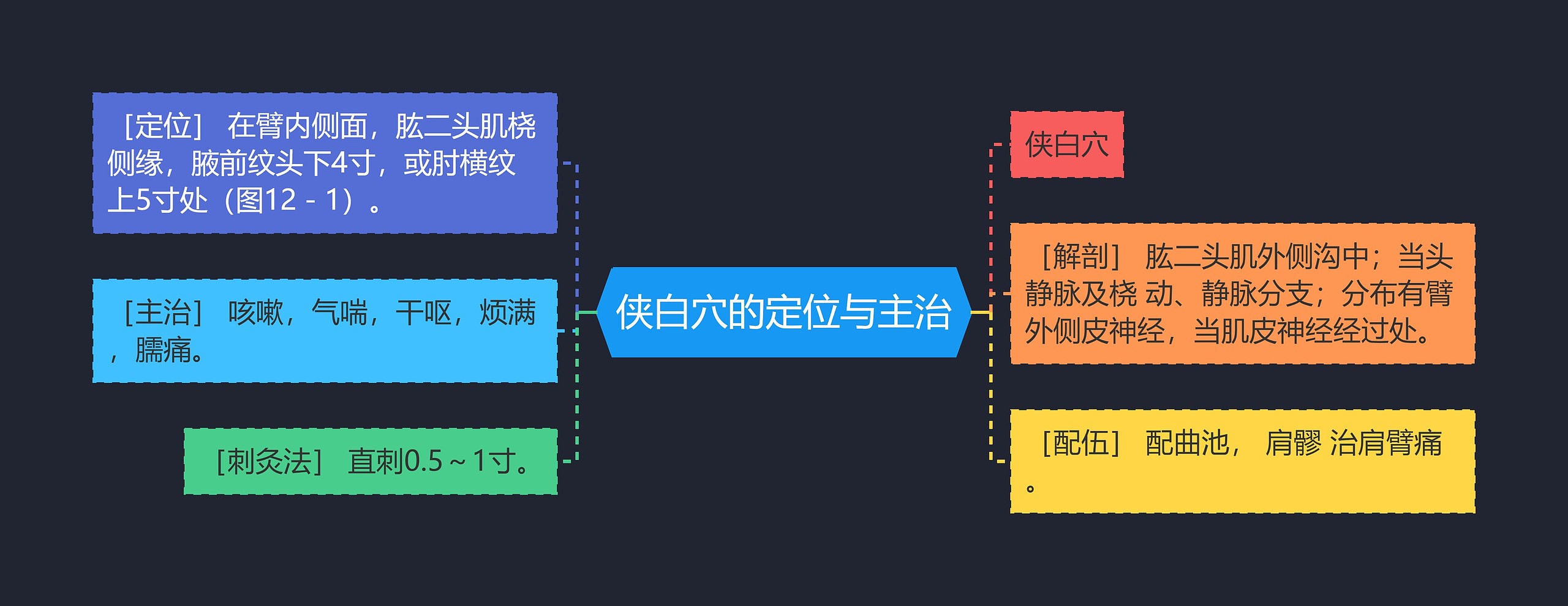 侠白穴的定位与主治思维导图