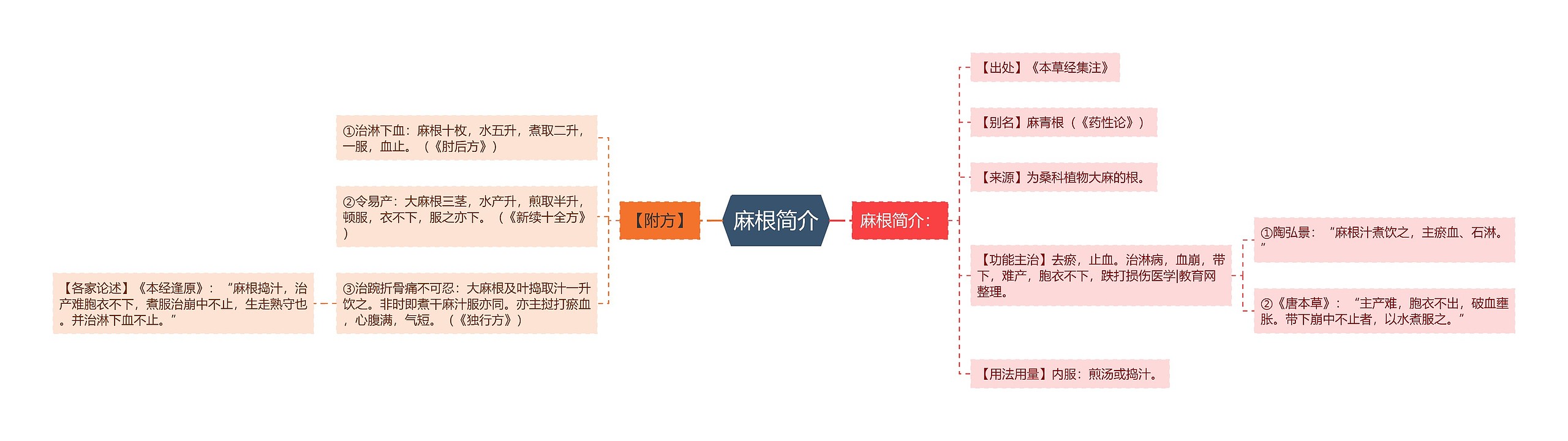 麻根简介思维导图