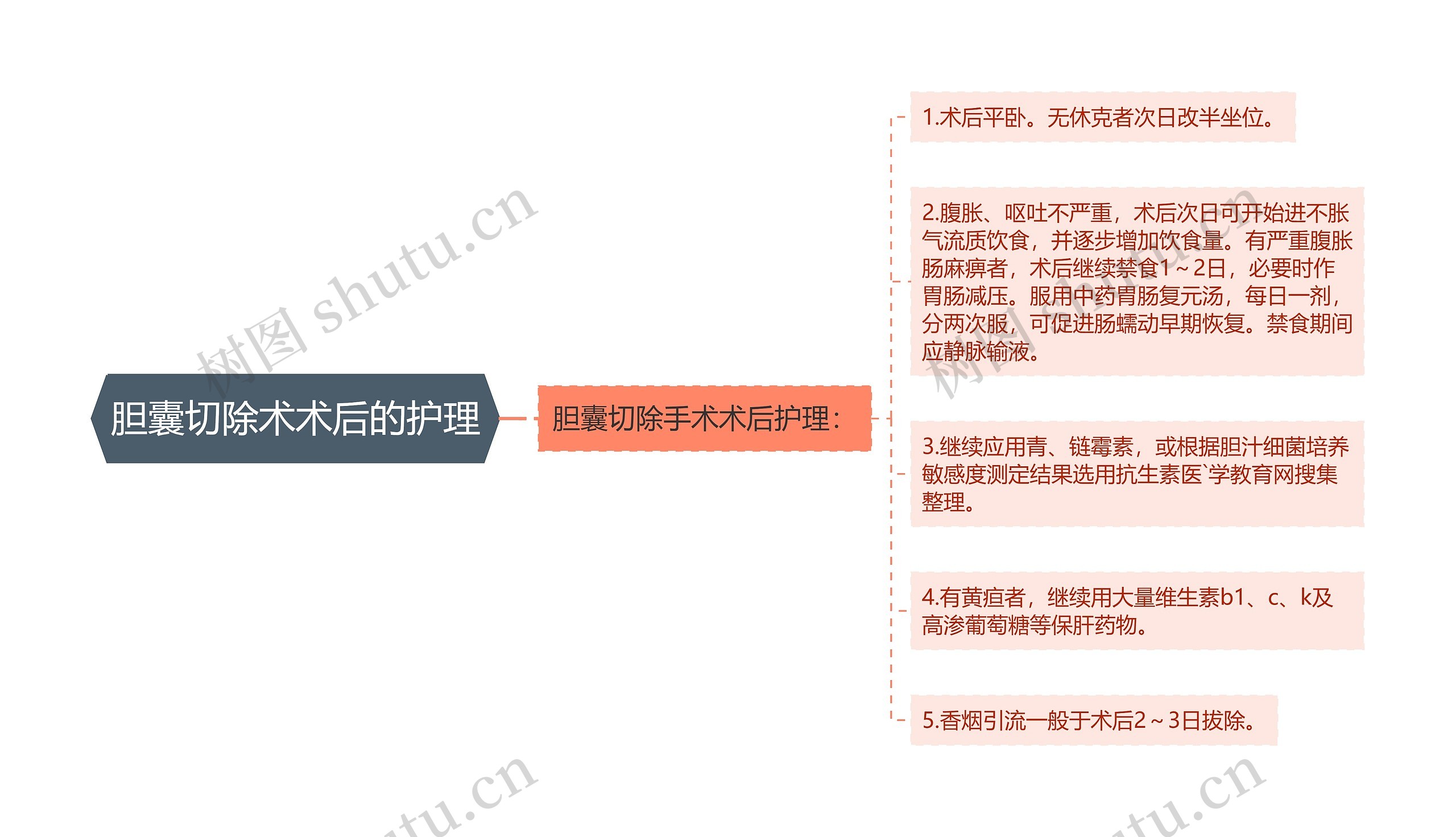 胆囊切除术术后的护理思维导图