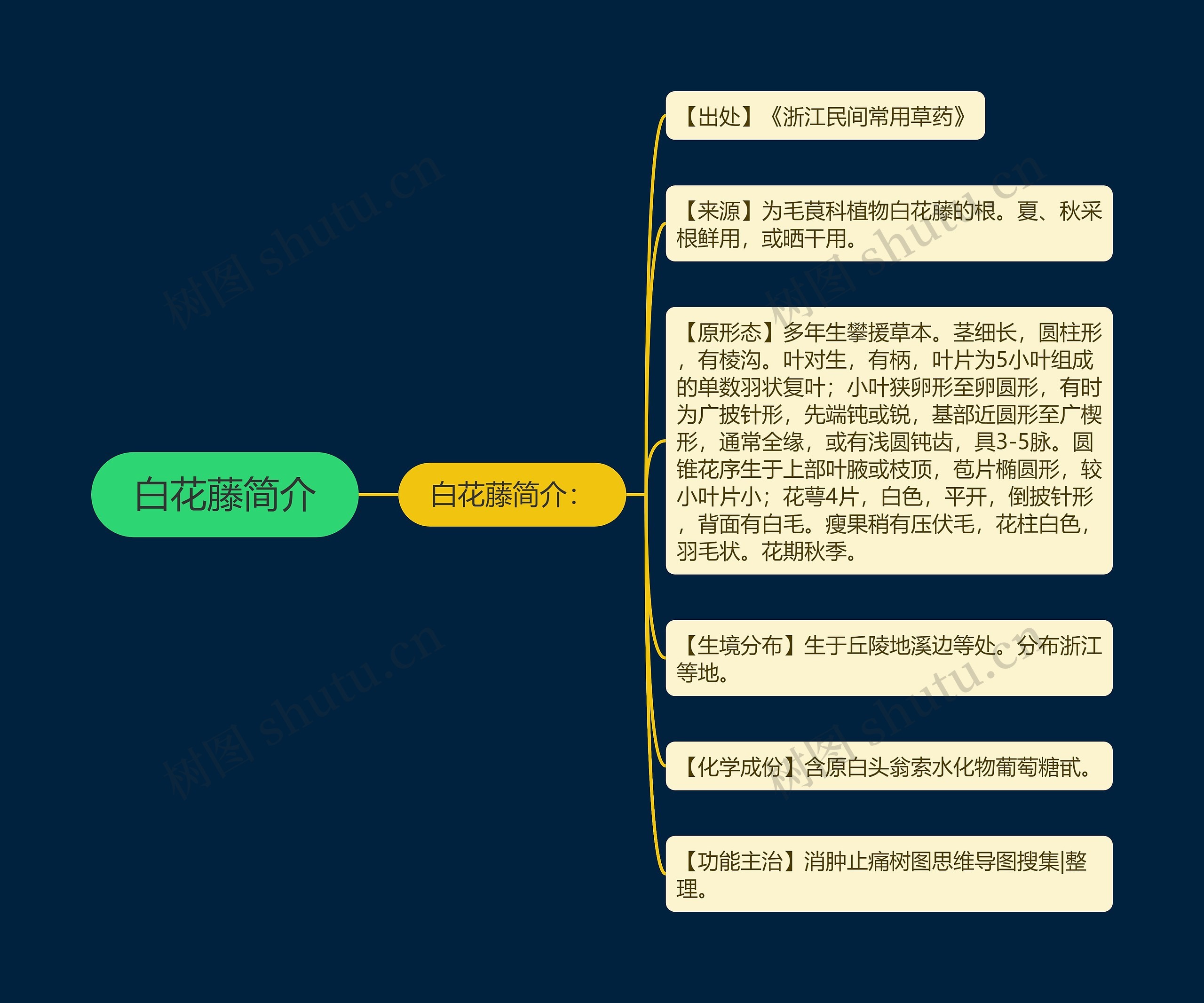 白花藤简介思维导图