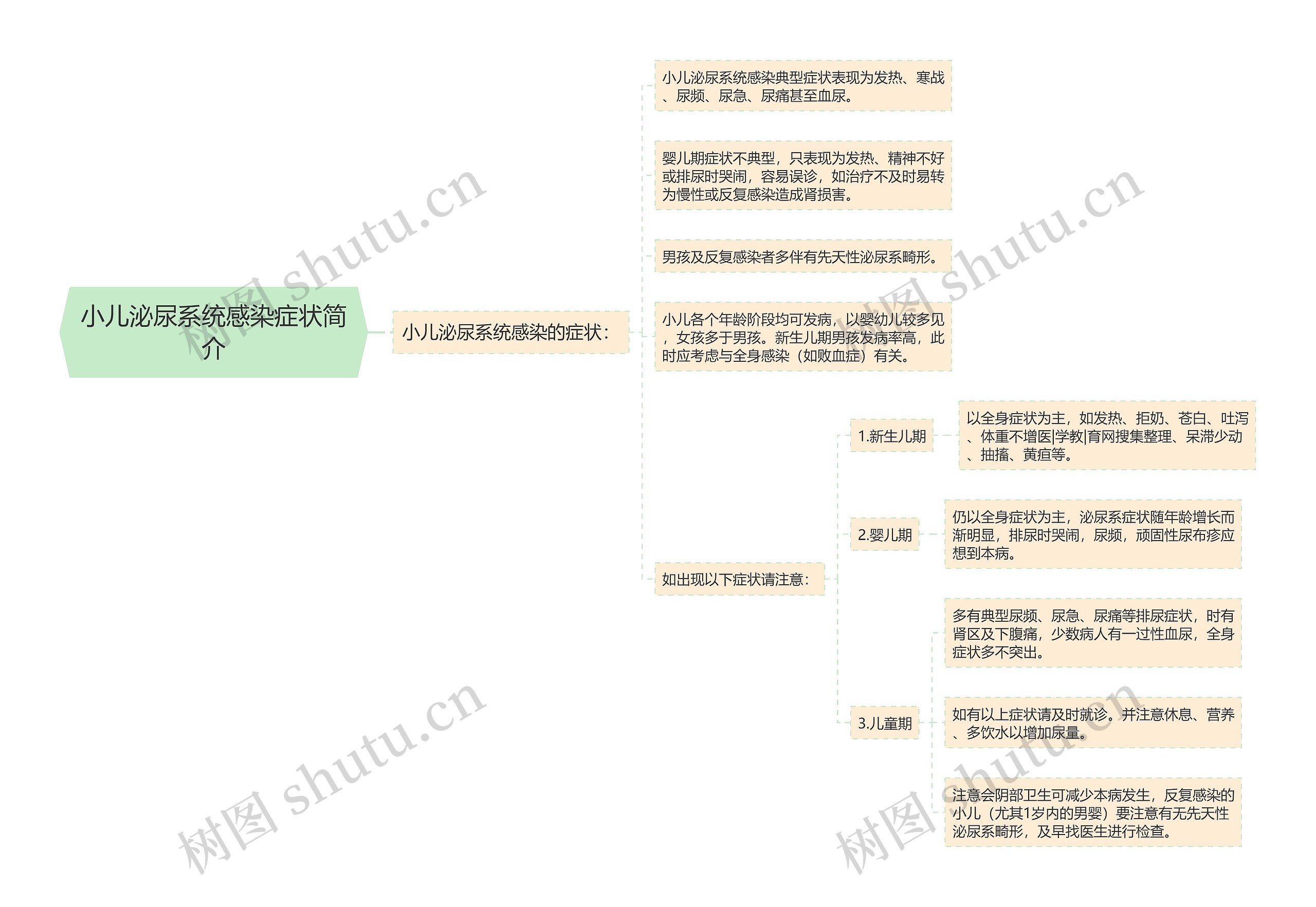 小儿泌尿系统感染症状简介思维导图