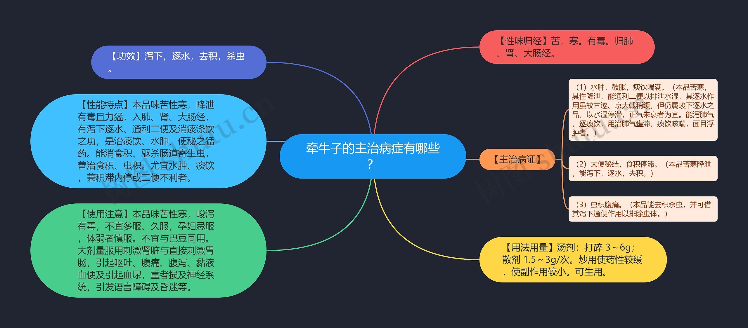 牵牛子的主治病症有哪些？思维导图