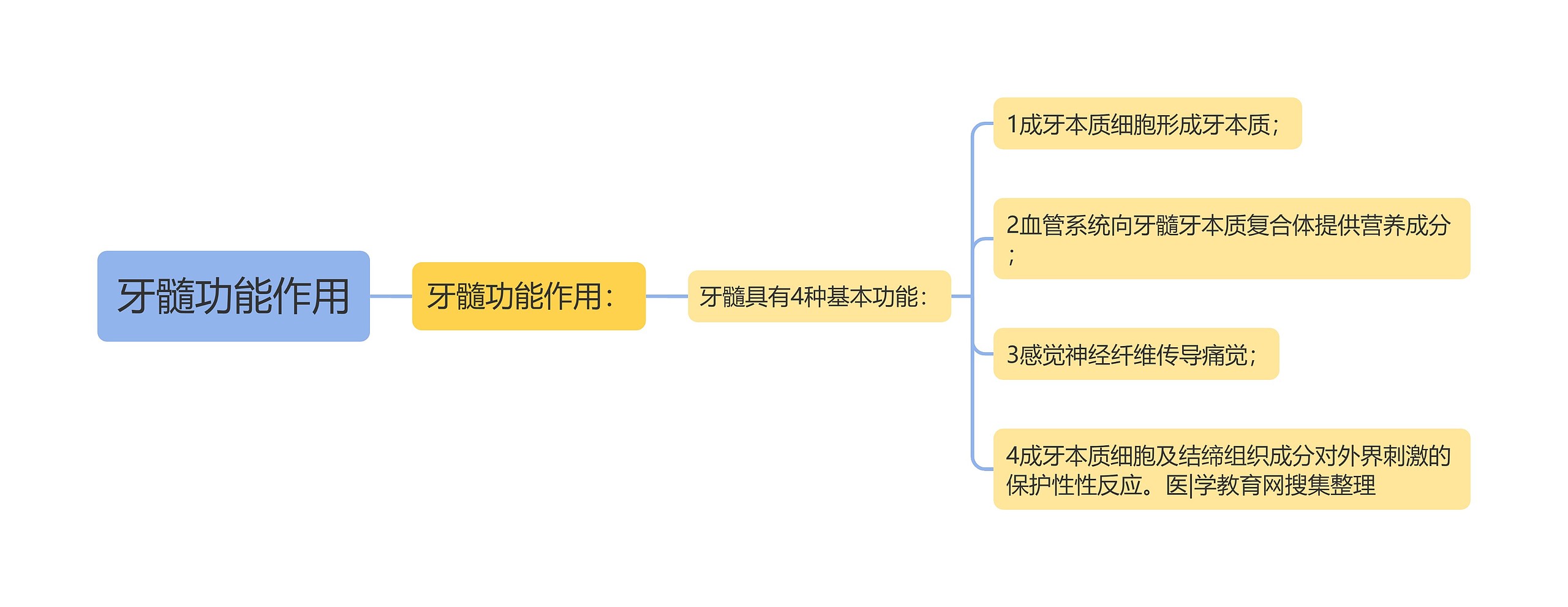 牙髓功能作用思维导图