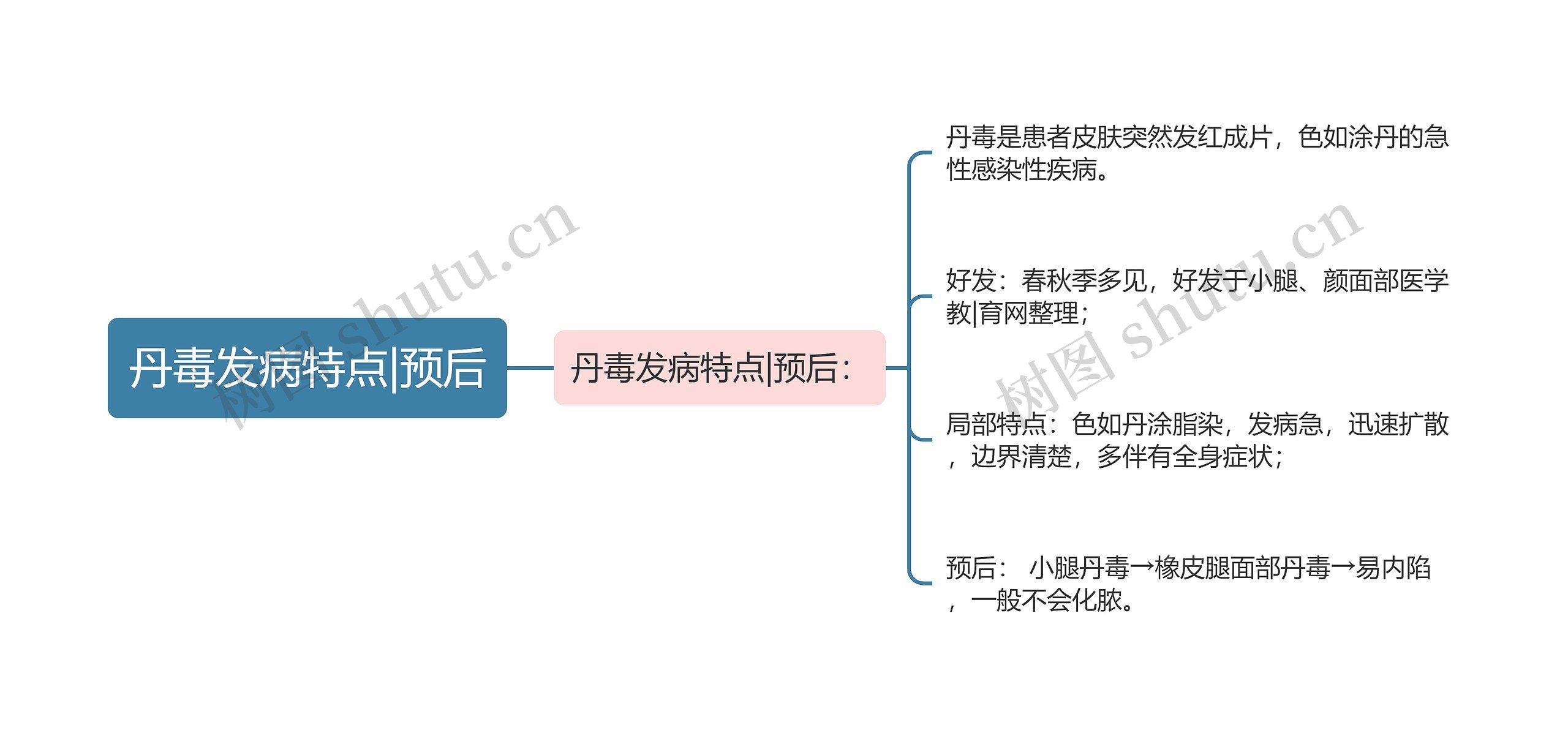 丹毒发病特点|预后思维导图