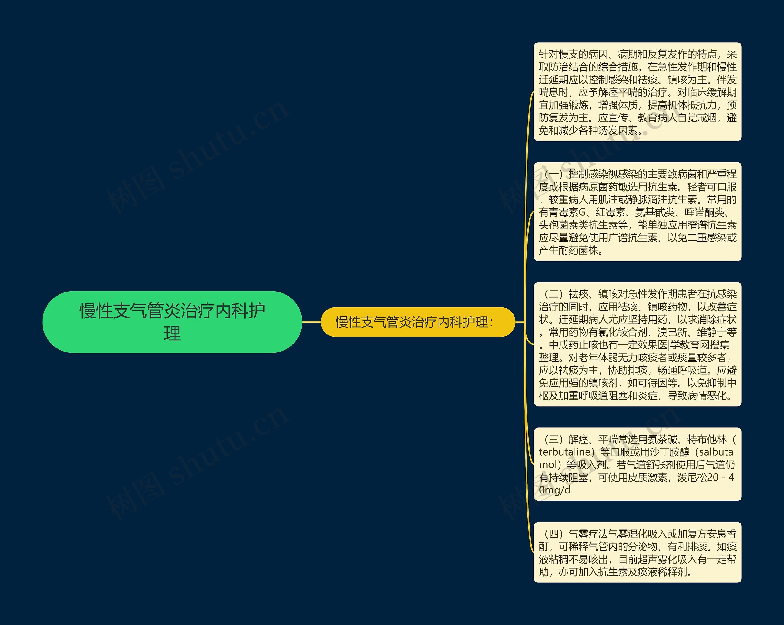 慢性支气管炎治疗内科护理思维导图