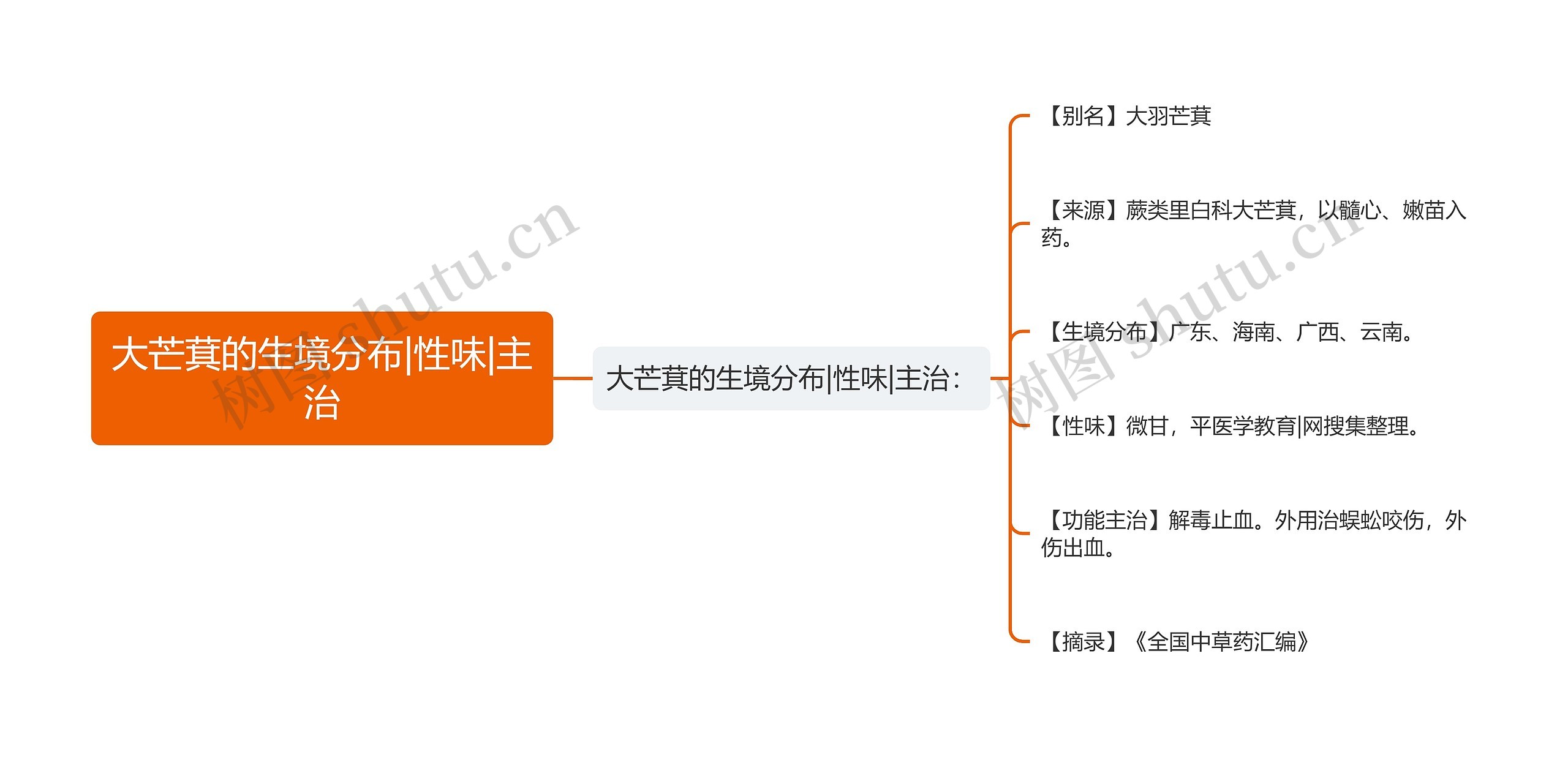 大芒萁的生境分布|性味|主治思维导图