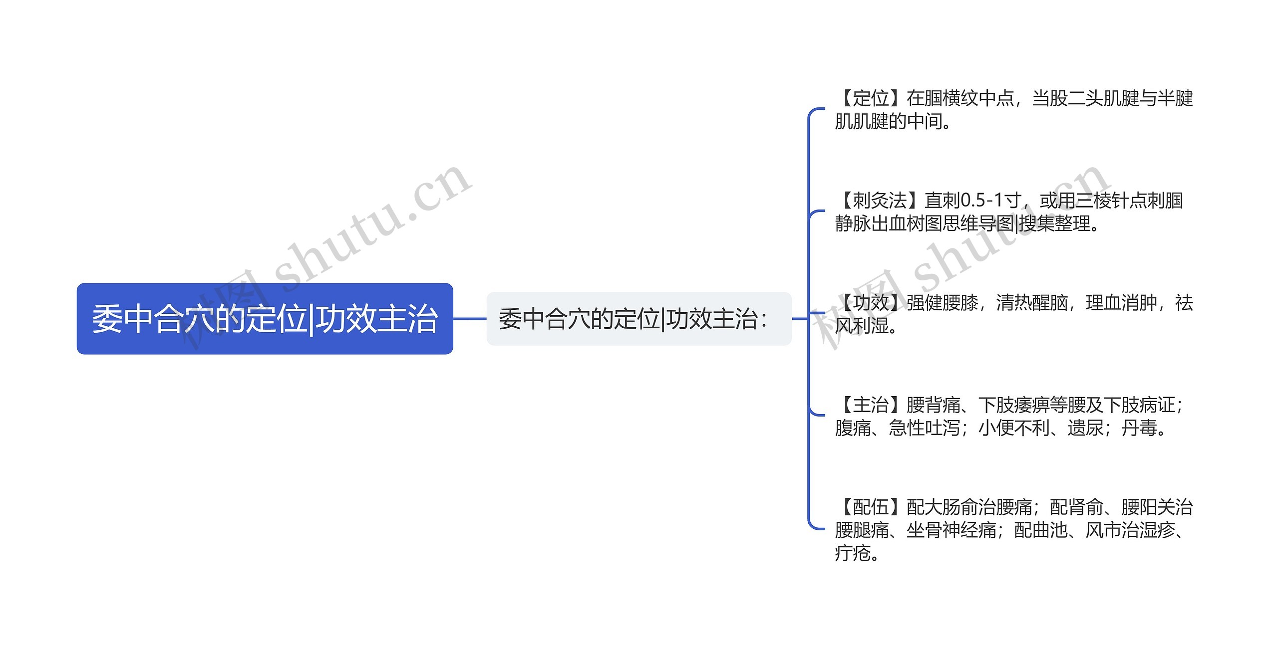 委中合穴的定位|功效主治思维导图