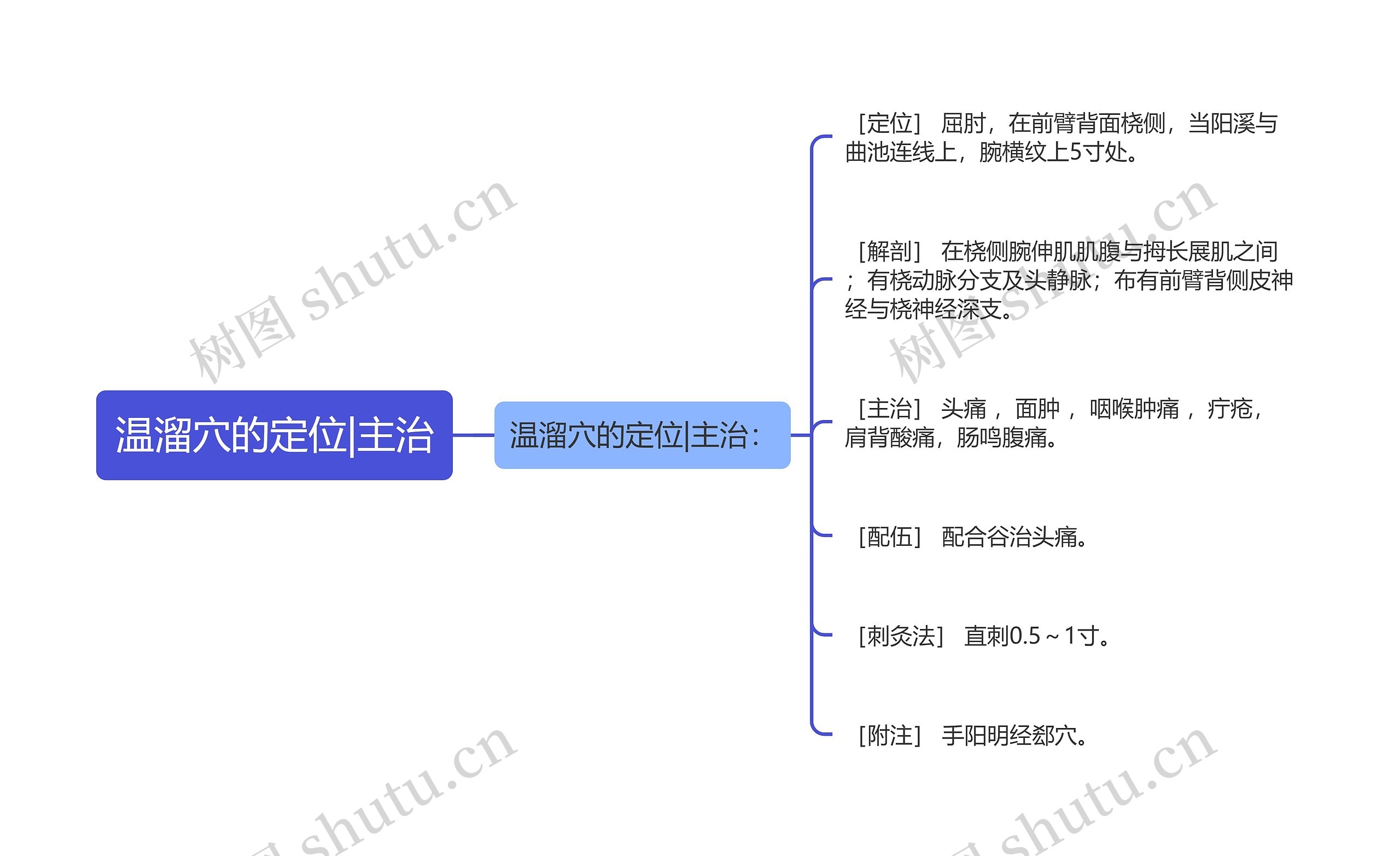 温溜穴的定位|主治思维导图