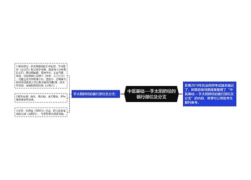 中医基础---手太阴肺经的循行部位及分支