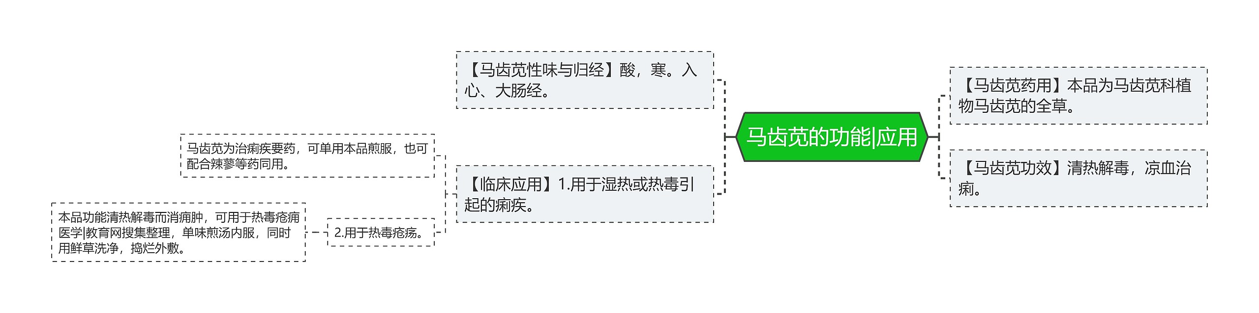 马齿苋的功能|应用思维导图