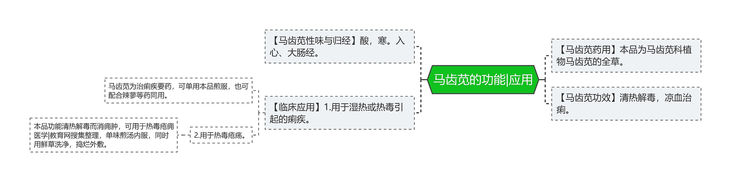 马齿苋的功能|应用 马齿苋的功能|应用