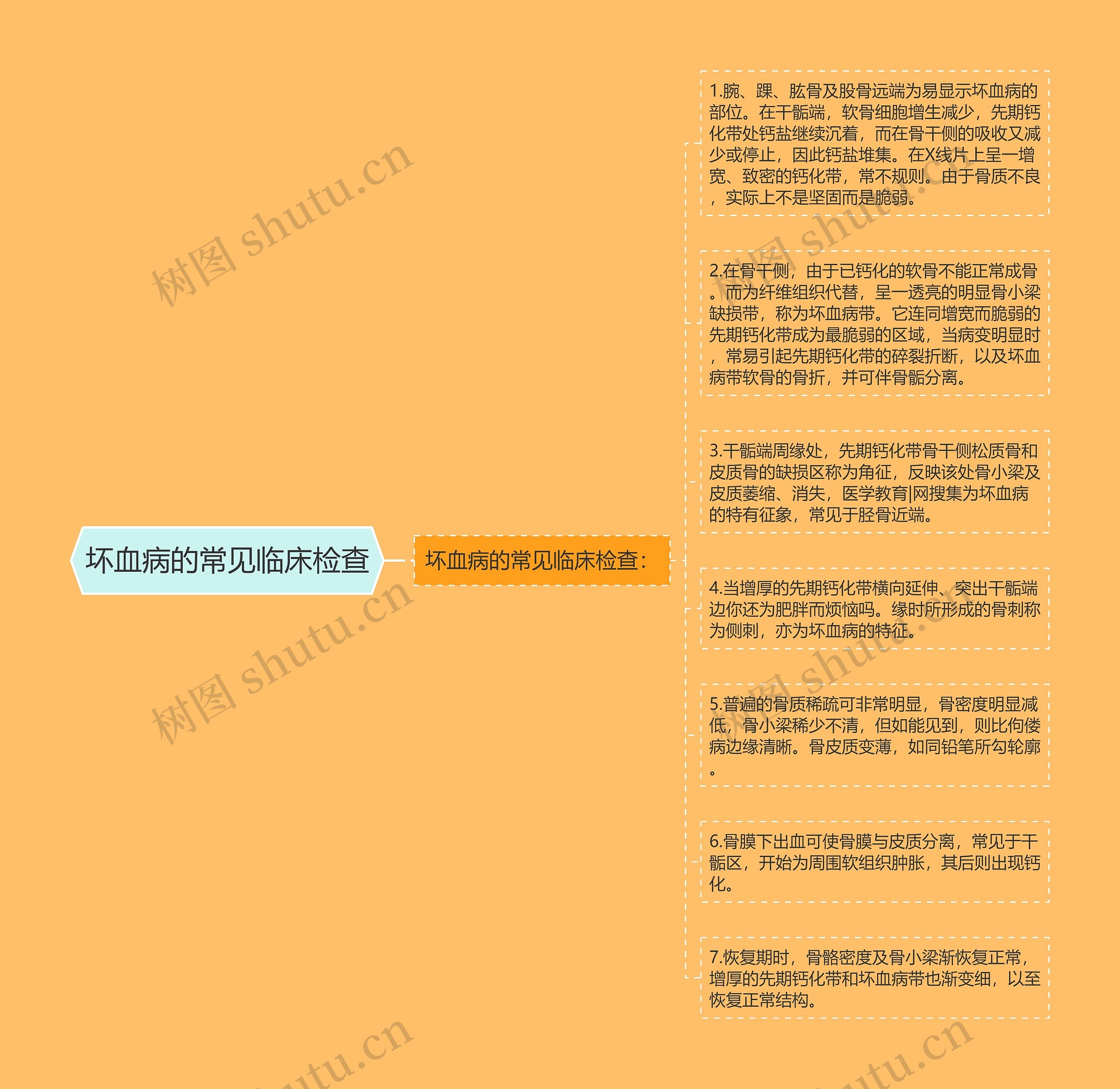 坏血病的常见临床检查 坏血病的常见临床检查