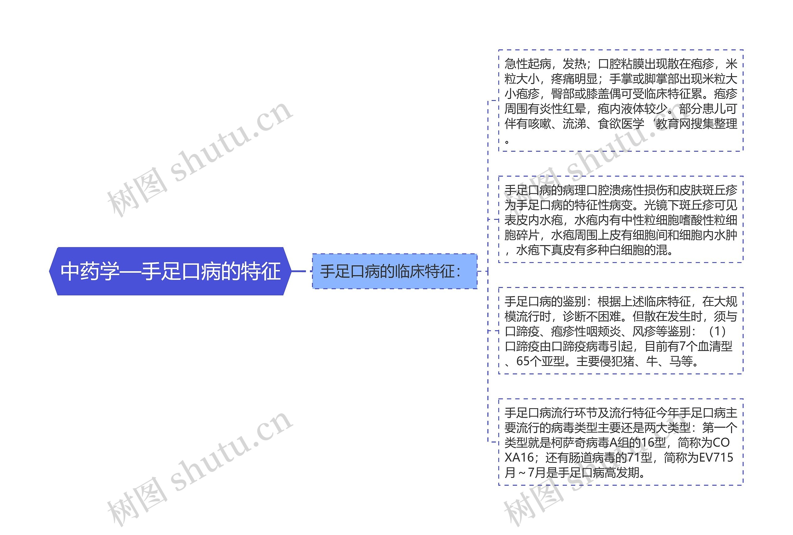 中药学—手足口病的特征