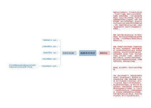 胸腺系统简述