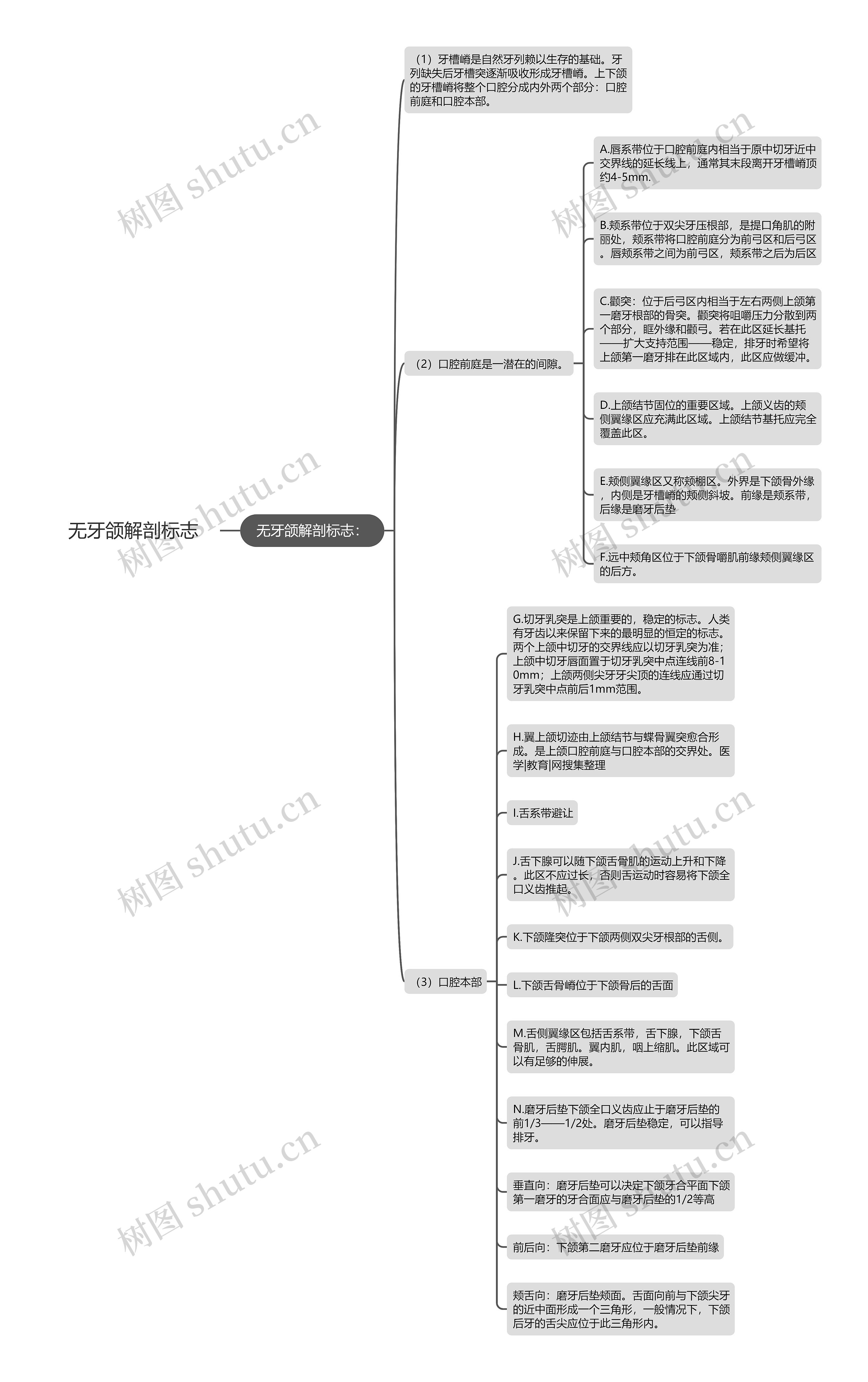 无牙颌解剖标志