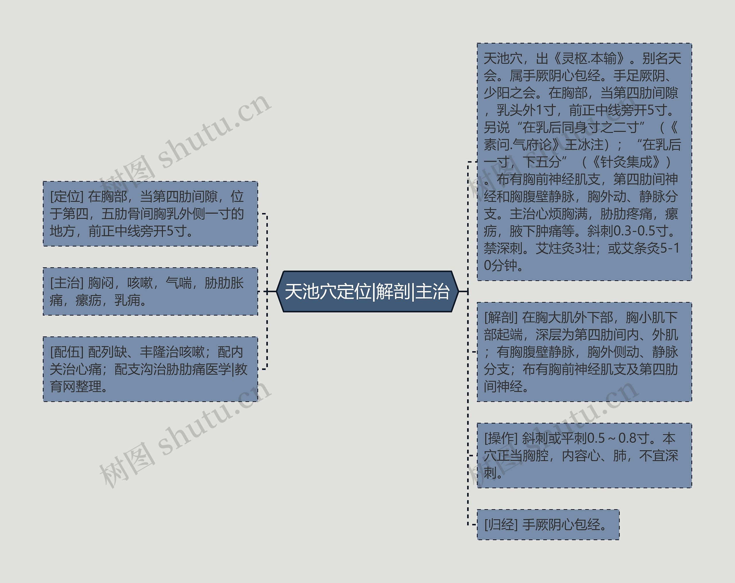 天池穴定位|解剖|主治思维导图