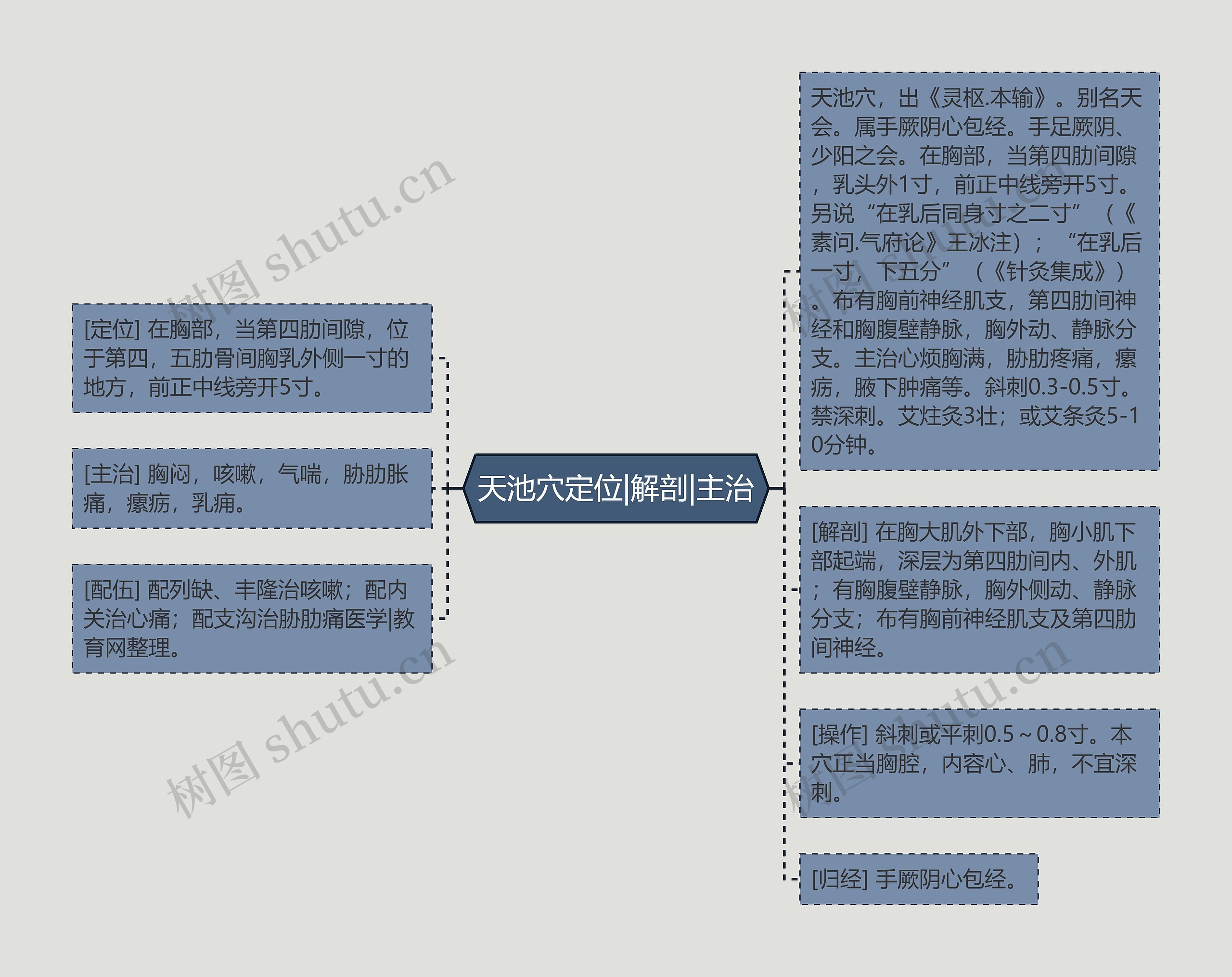 天池穴定位|解剖|主治 天池穴定位|解剖|主治