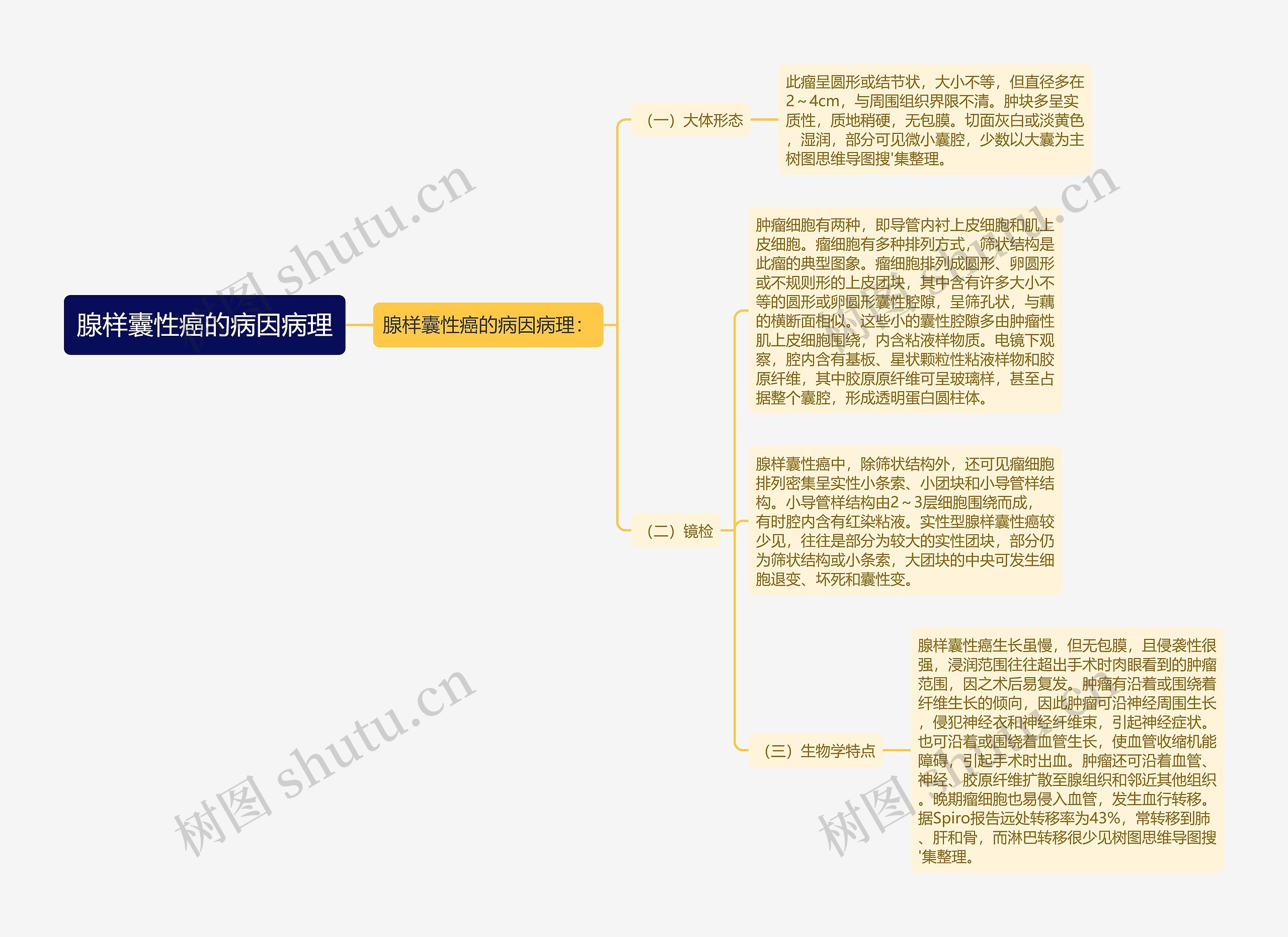 腺样囊性癌的病因病理思维导图