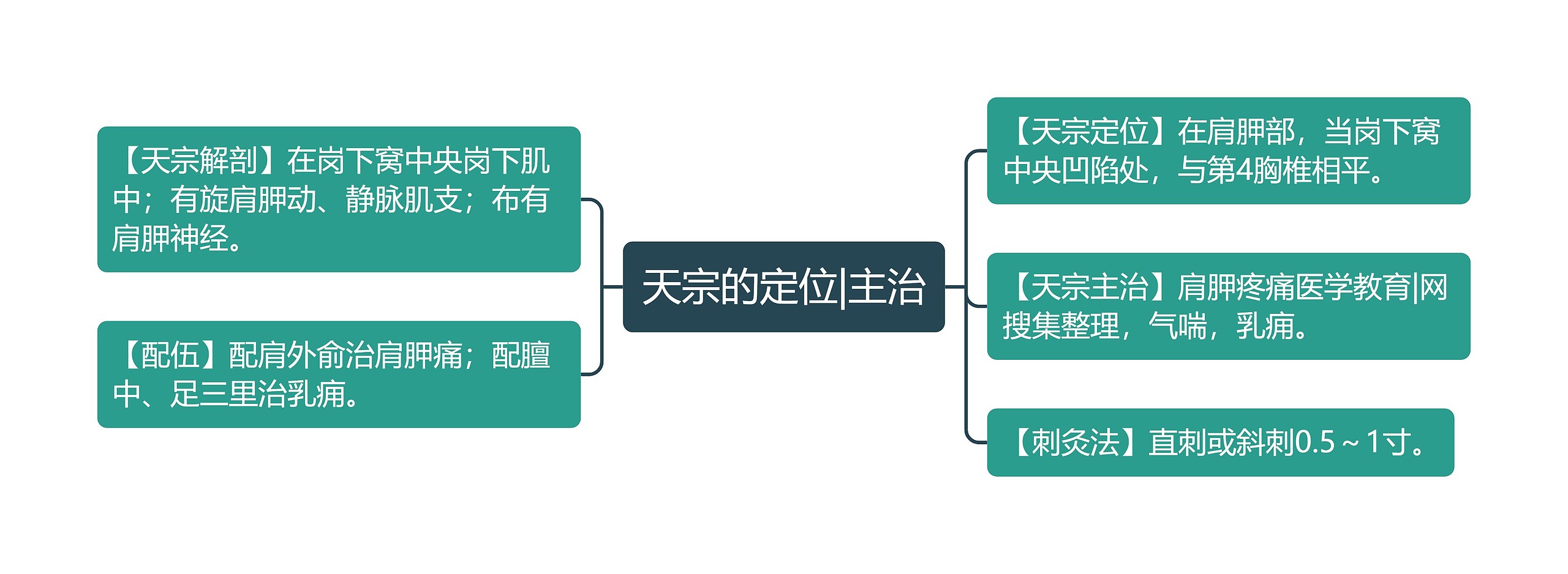 天宗的定位|主治