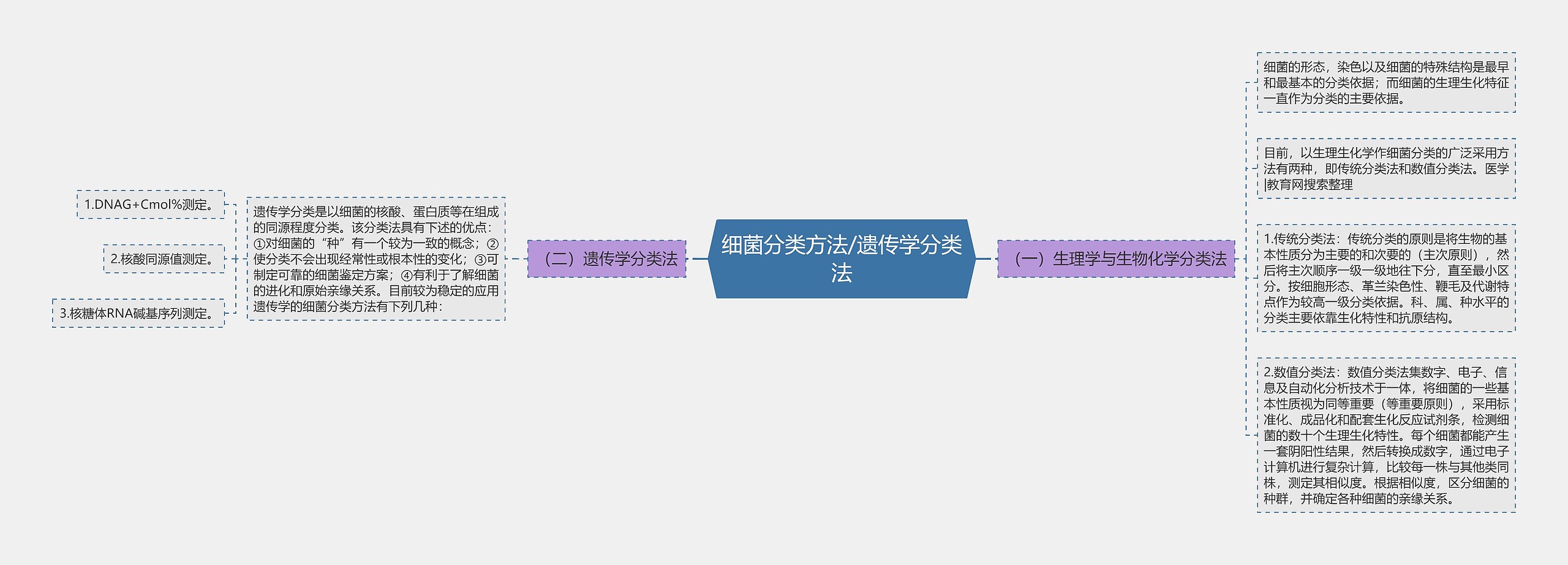 细菌分类方法/遗传学分类法思维导图