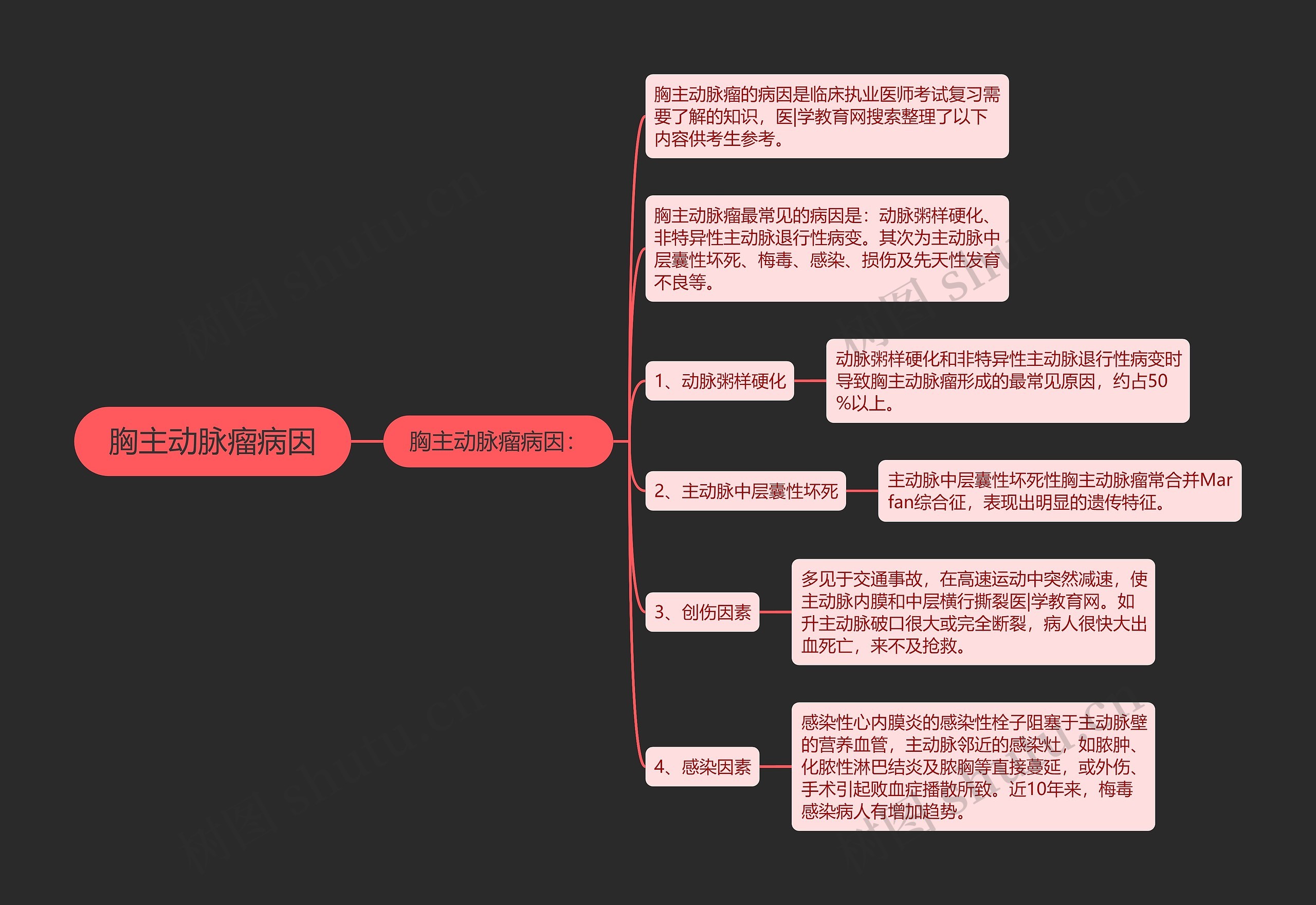 胸主动脉瘤病因思维导图