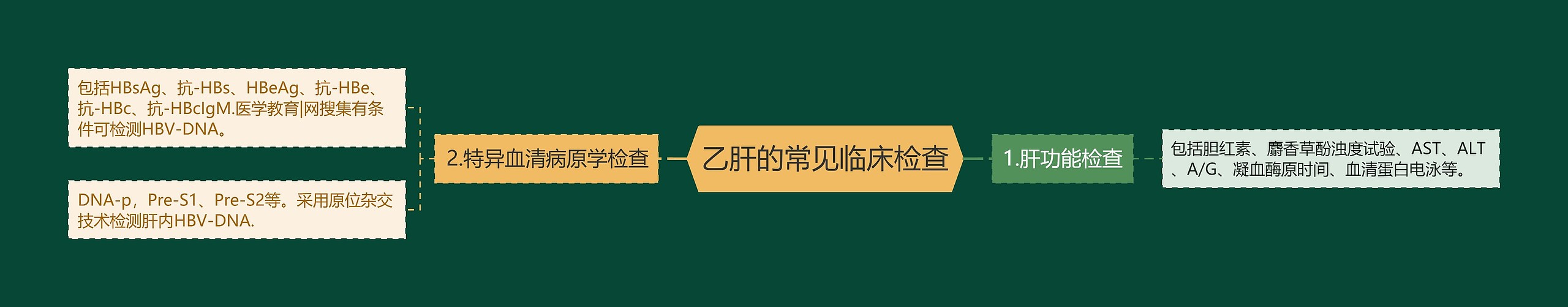 乙肝的常见临床检查思维导图