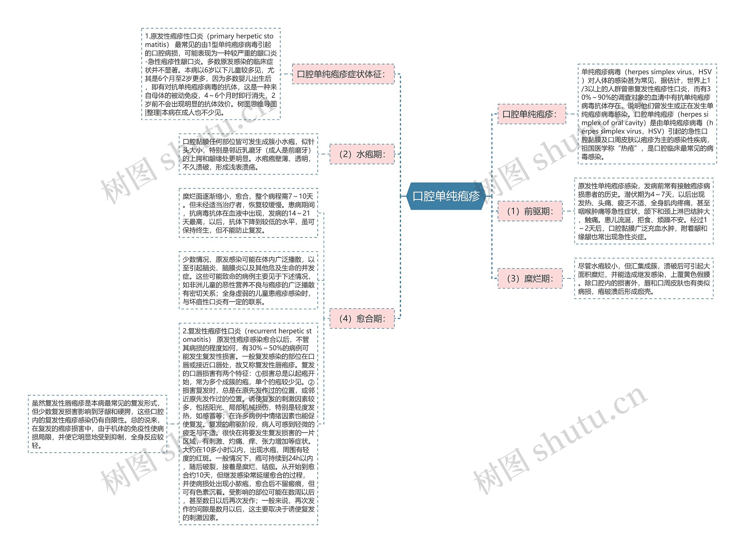口腔单纯疱疹思维导图