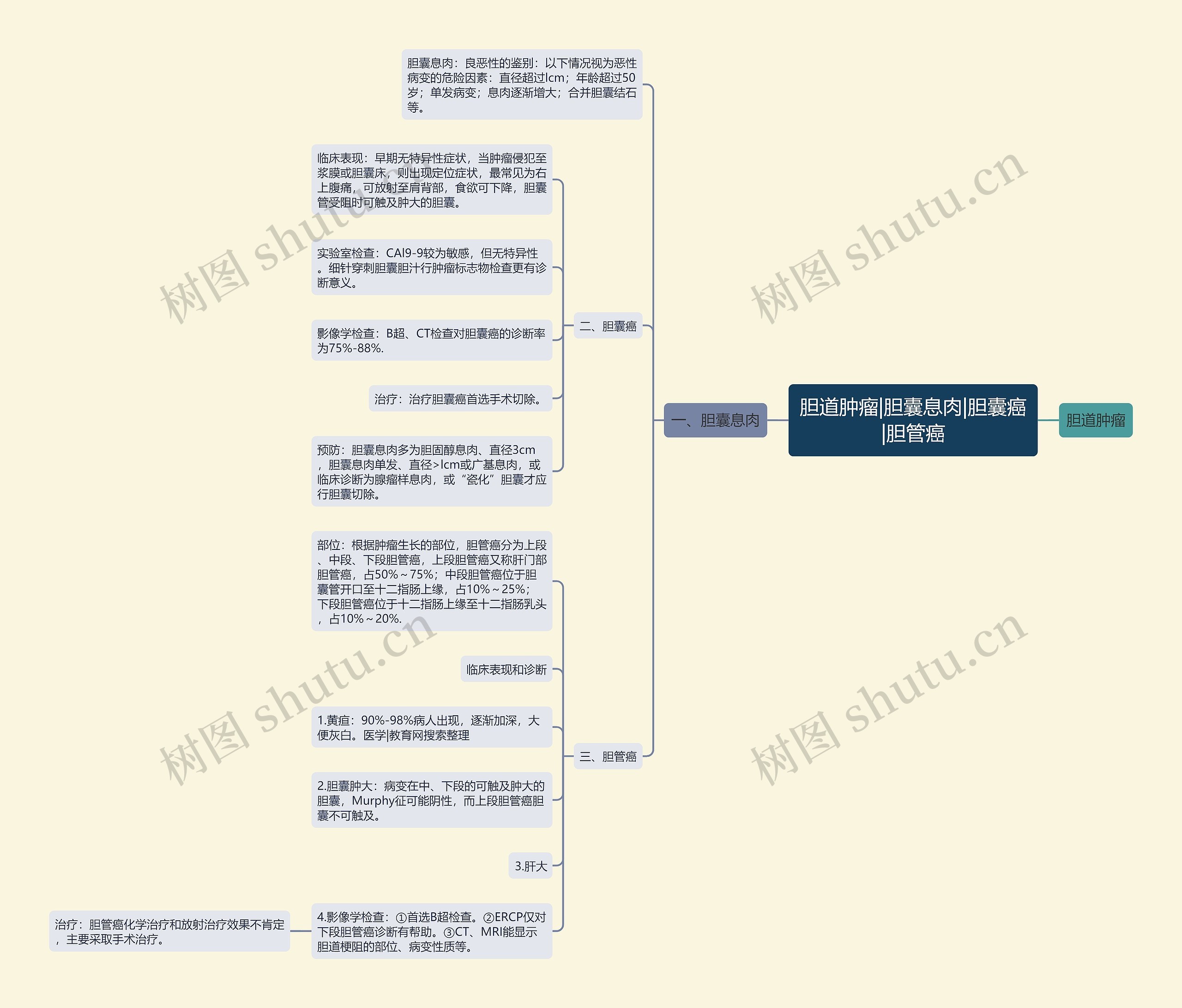 胆道肿瘤|胆囊息肉|胆囊癌|胆管癌思维导图