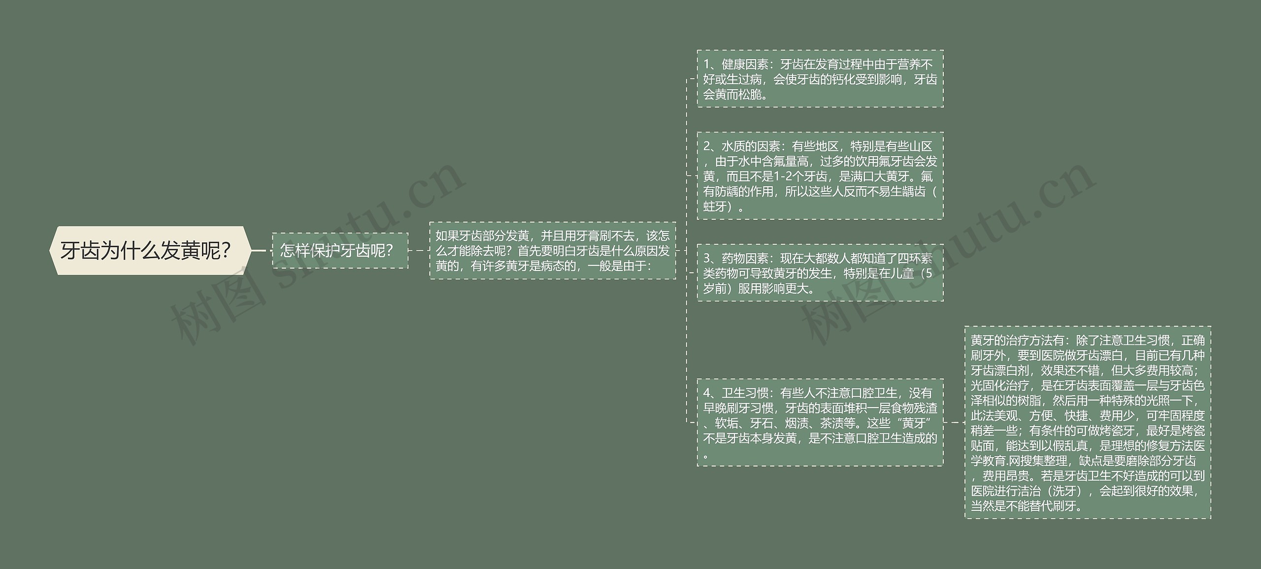 牙齿为什么发黄呢？