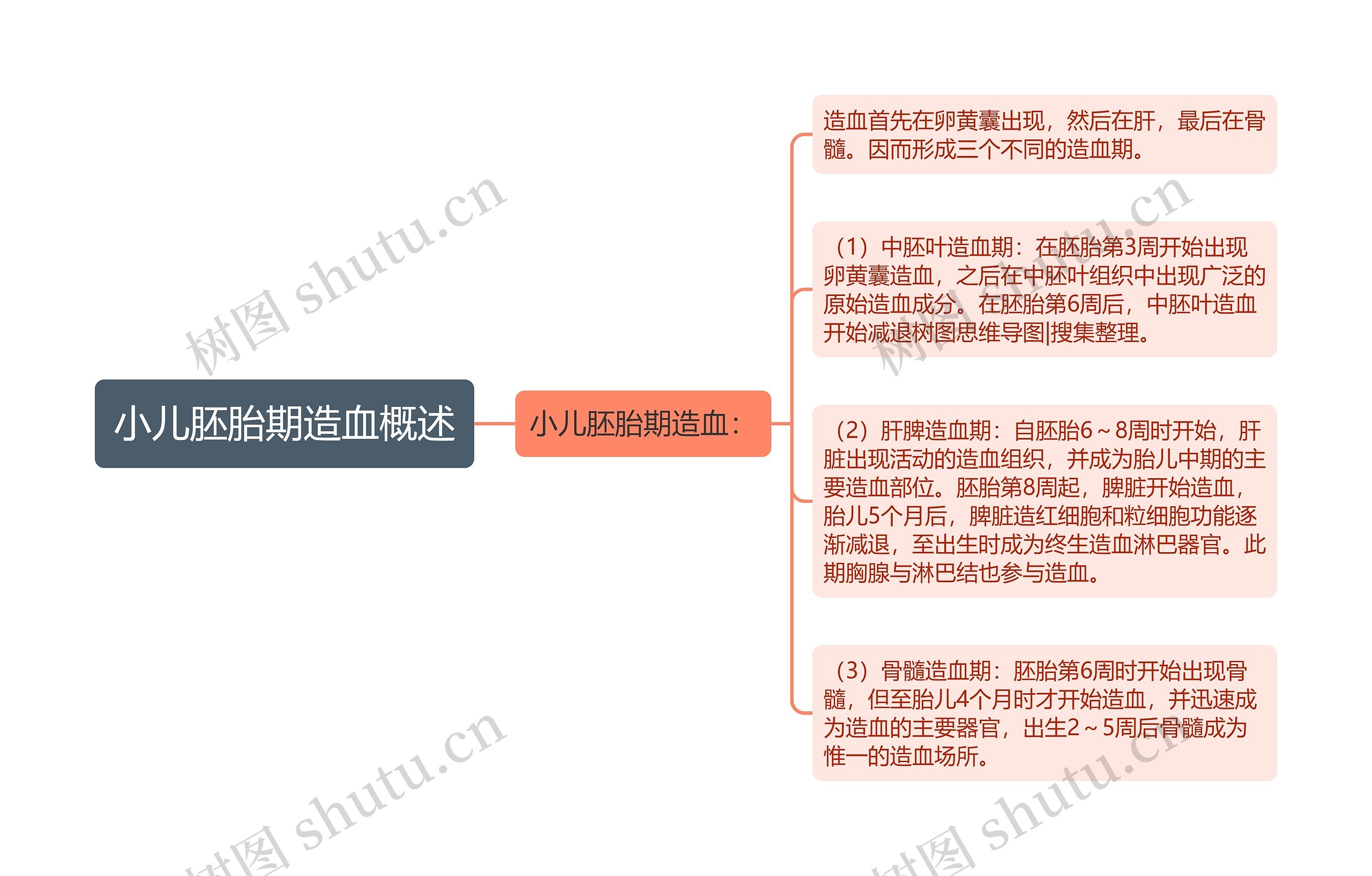 小儿胚胎期造血概述思维导图