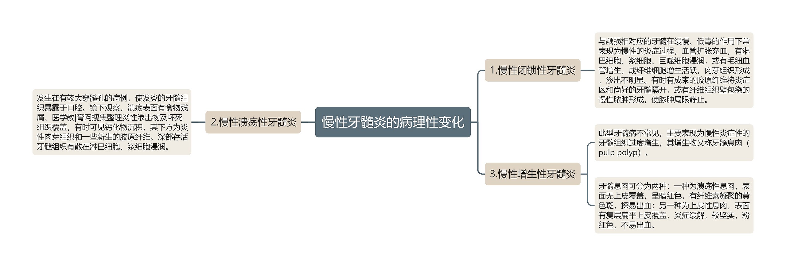 慢性牙髓炎的病理性变化思维导图