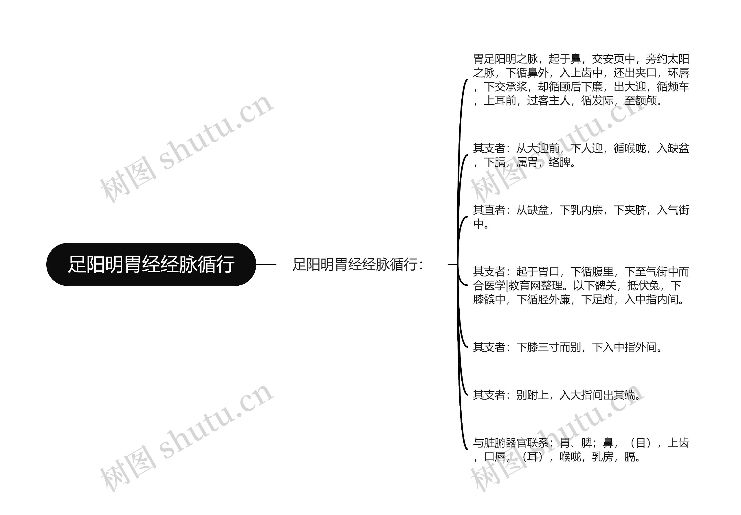 足阳明胃经经脉循行思维导图