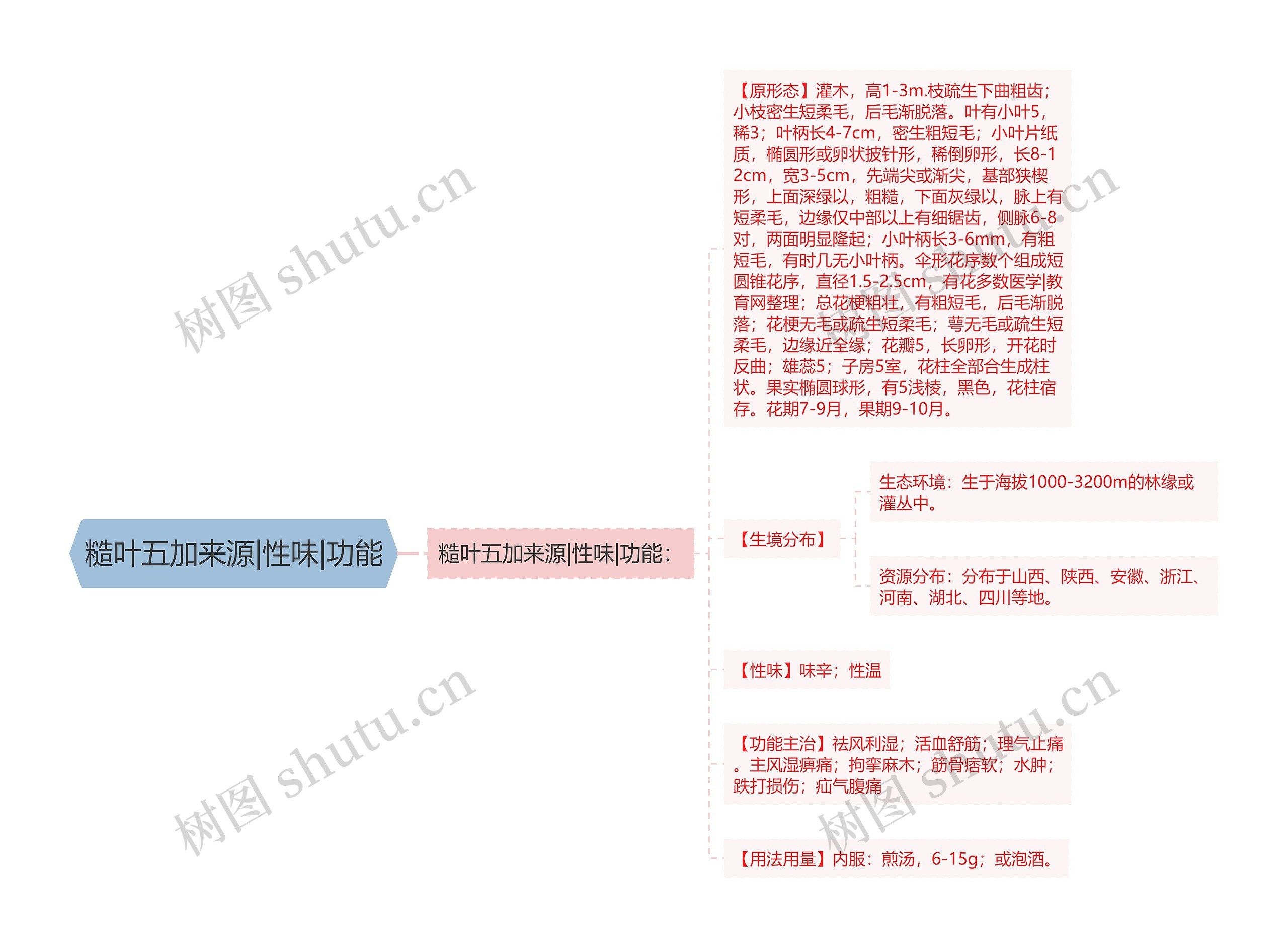 糙叶五加来源|性味|功能思维导图