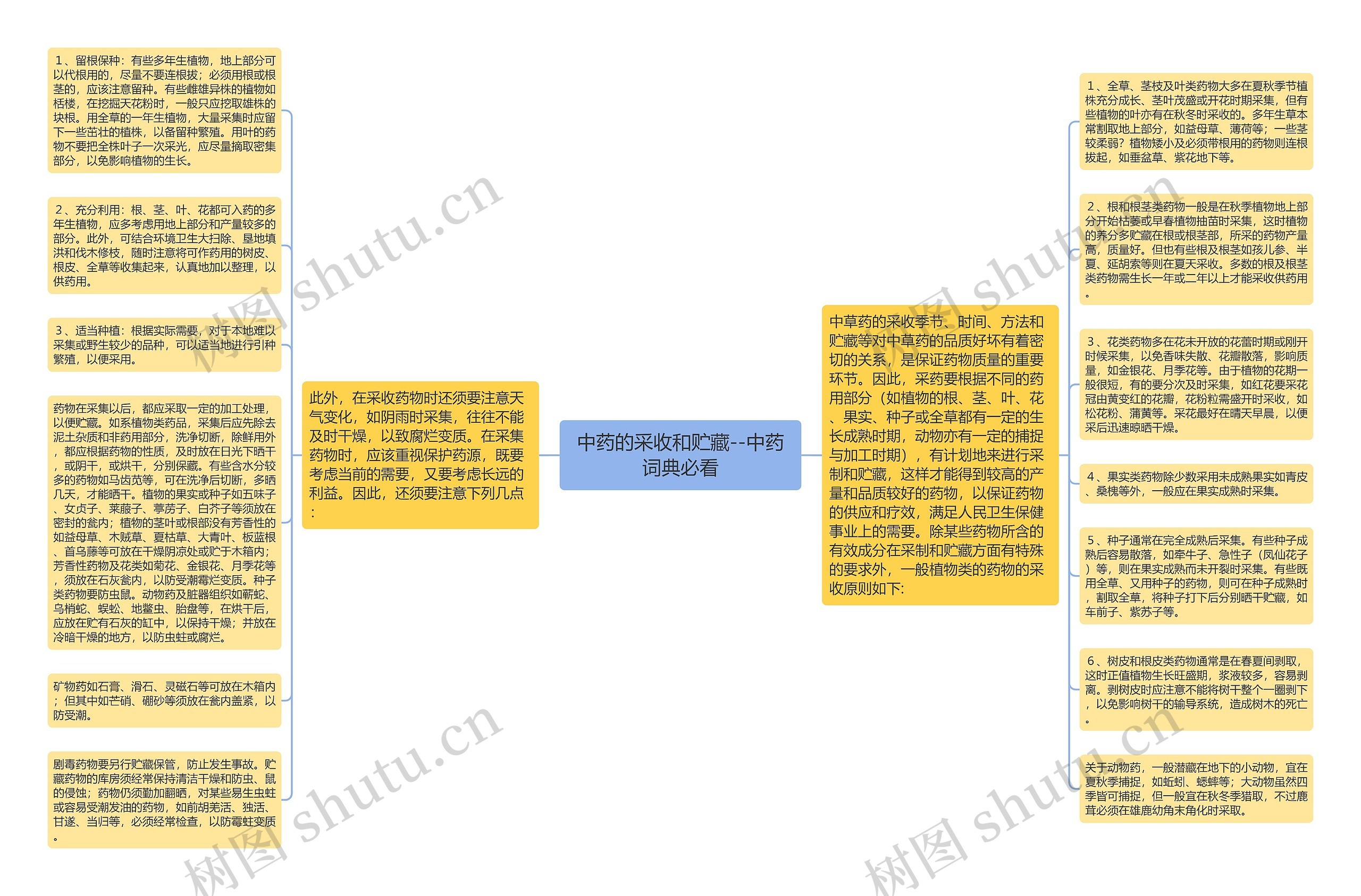 中药的采收和贮藏--中药词典必看思维导图