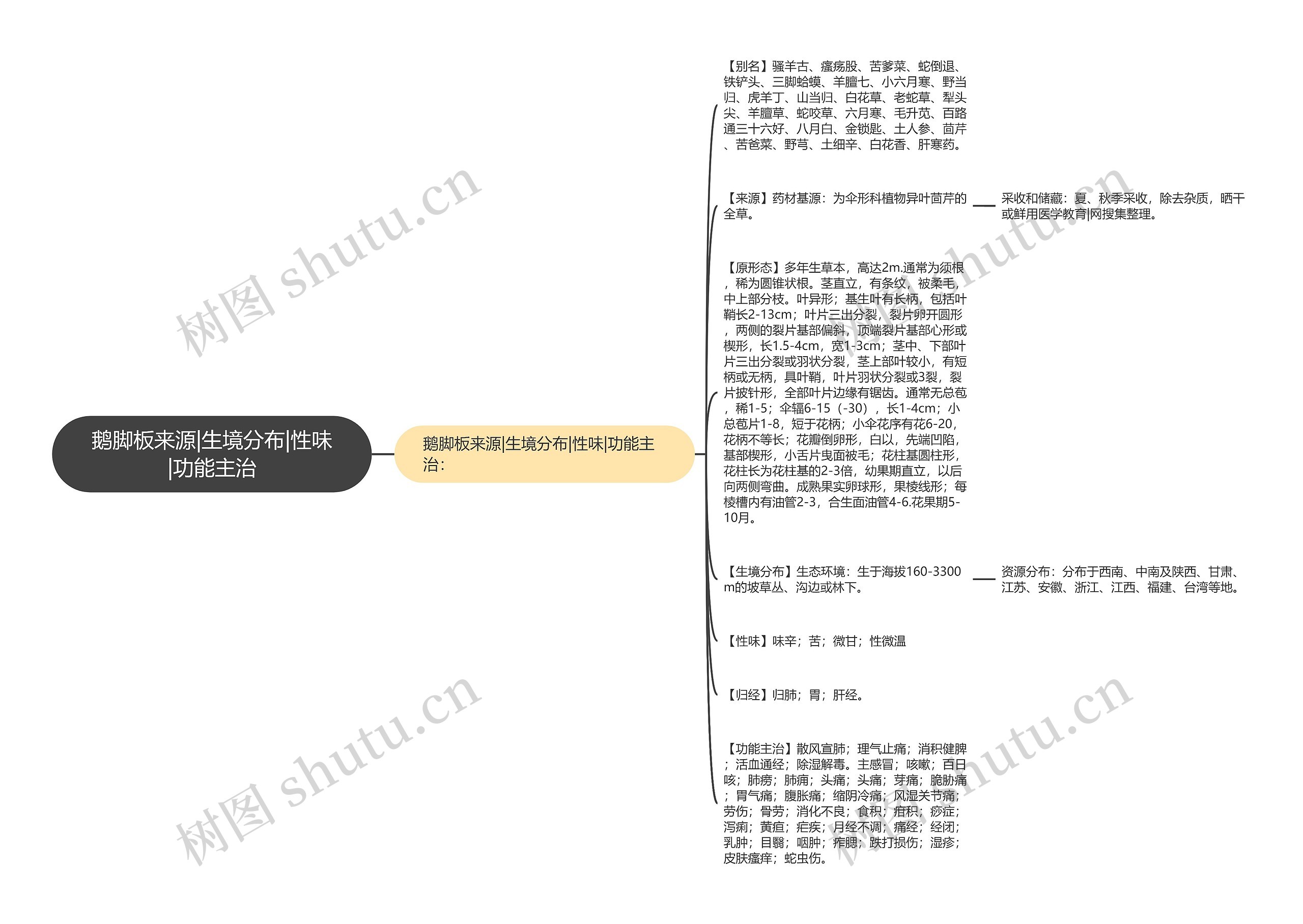 鹅脚板来源|生境分布|性味|功能主治思维导图
